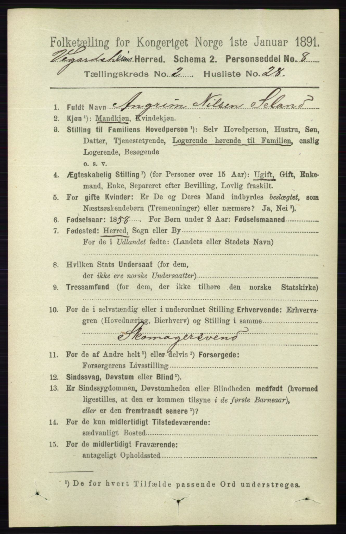 RA, 1891 census for 0912 Vegårshei, 1891, p. 574
