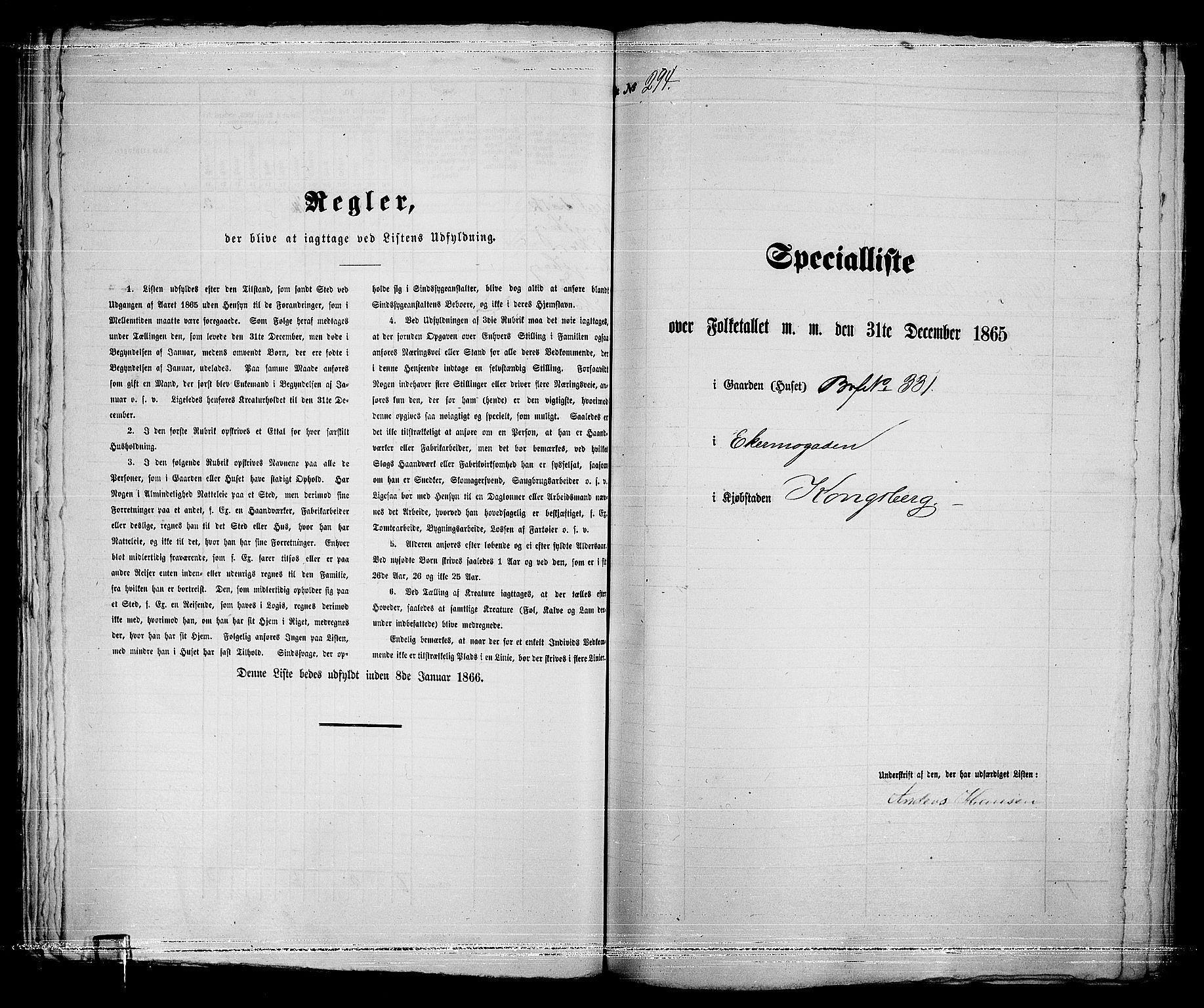 RA, 1865 census for Kongsberg/Kongsberg, 1865, p. 607