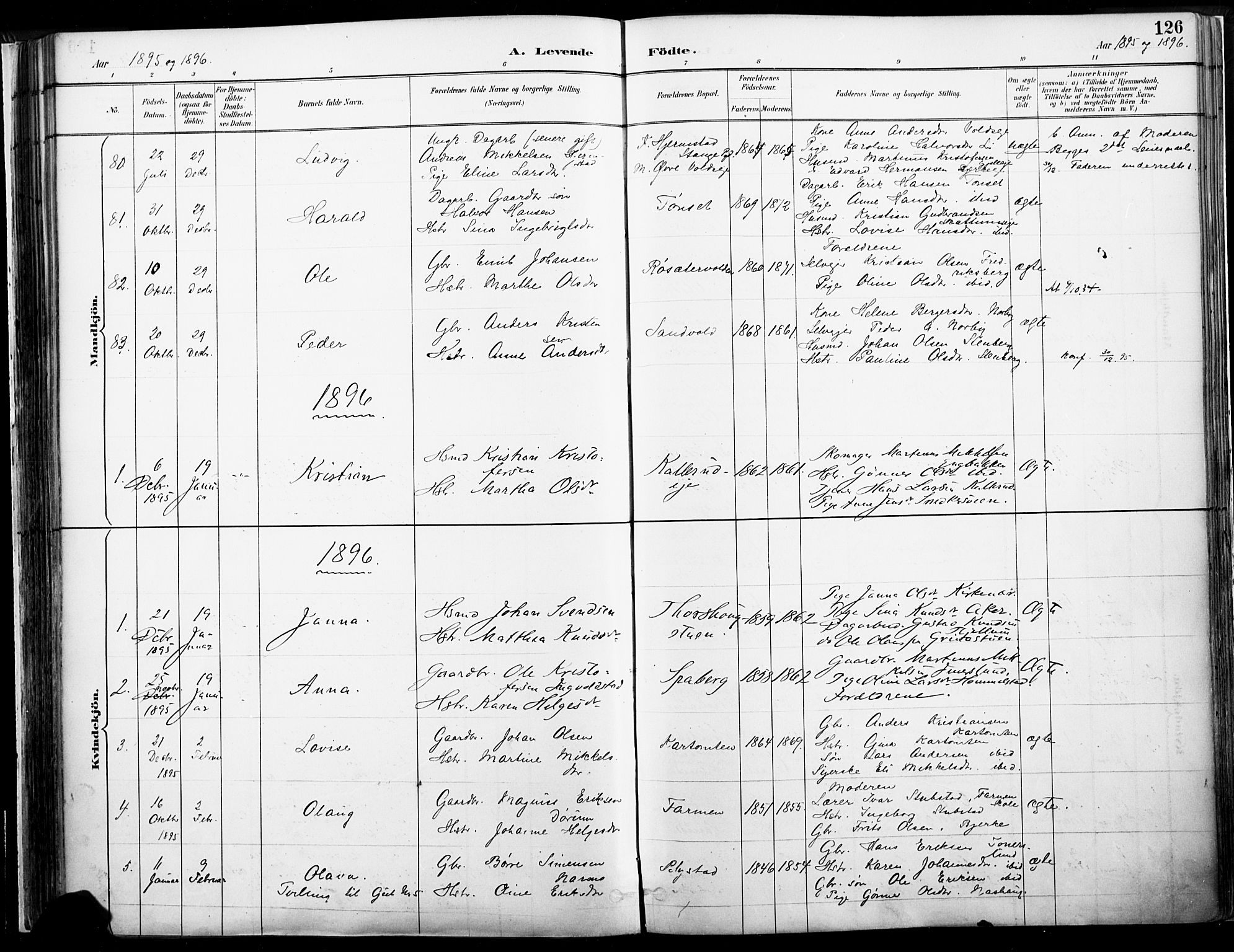 Vang prestekontor, Hedmark, SAH/PREST-008/H/Ha/Haa/L0019A: Parish register (official) no. 19, 1886-1900, p. 126