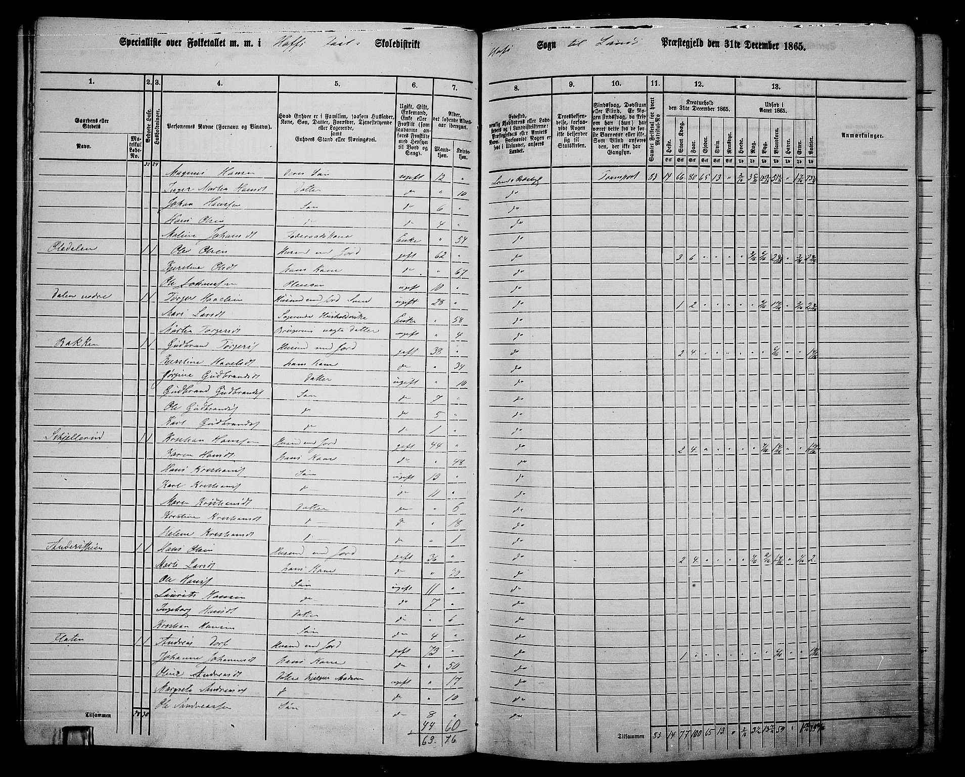 RA, 1865 census for Land, 1865, p. 307