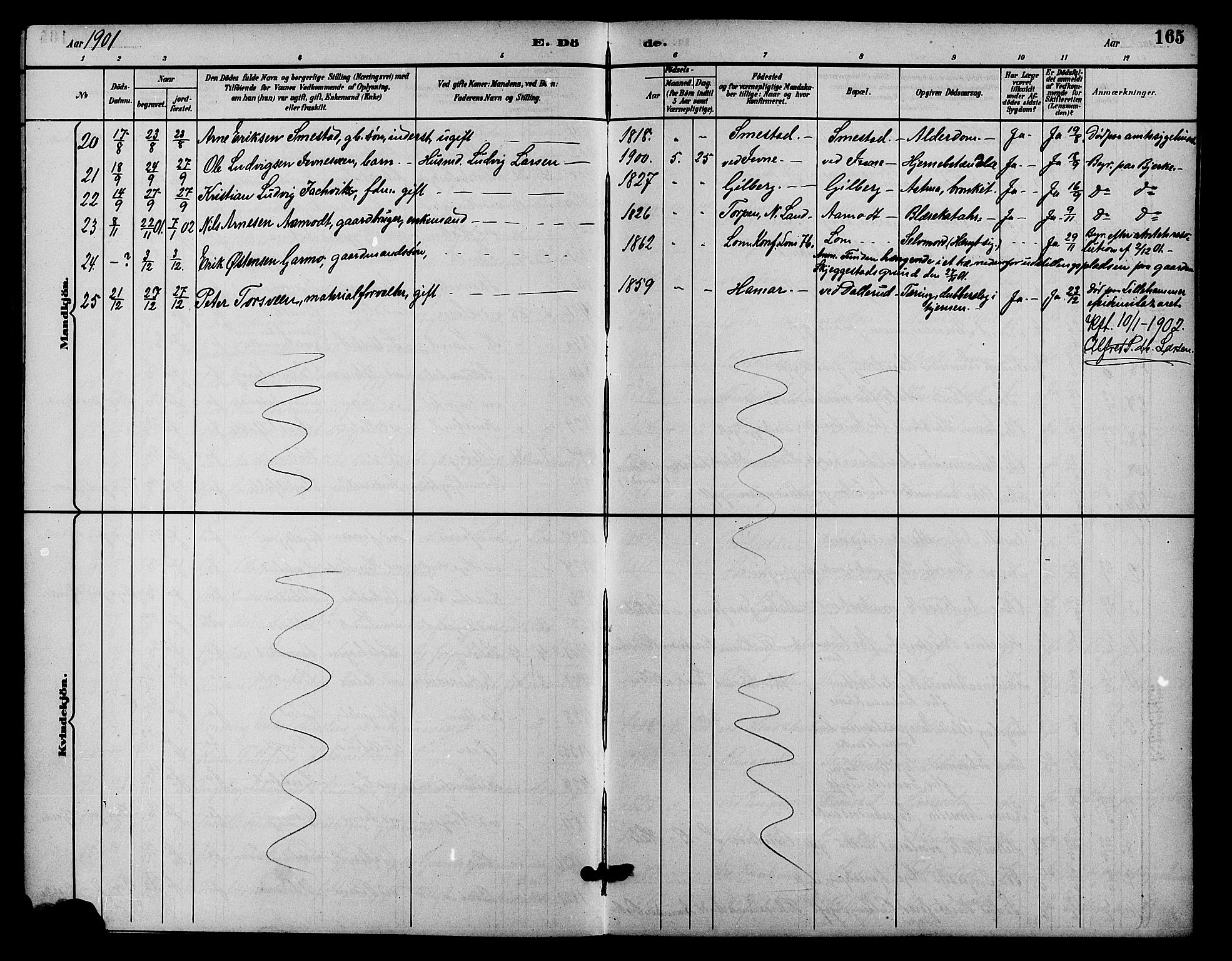 Fåberg prestekontor, SAH/PREST-086/H/Ha/Hab/L0009: Parish register (copy) no. 9, 1891-1902, p. 165