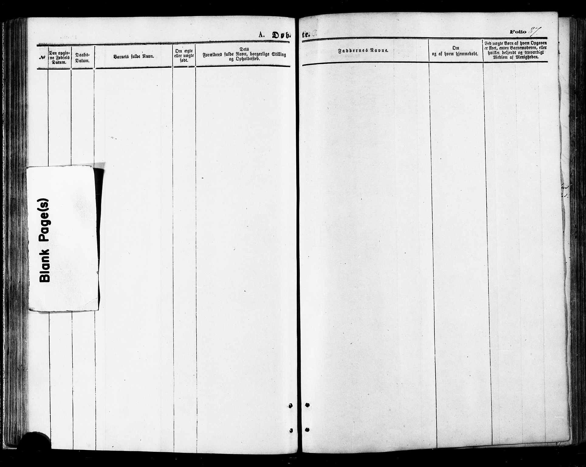 Ministerialprotokoller, klokkerbøker og fødselsregistre - Nordland, AV/SAT-A-1459/895/L1370: Parish register (official) no. 895A05, 1873-1884, p. 87