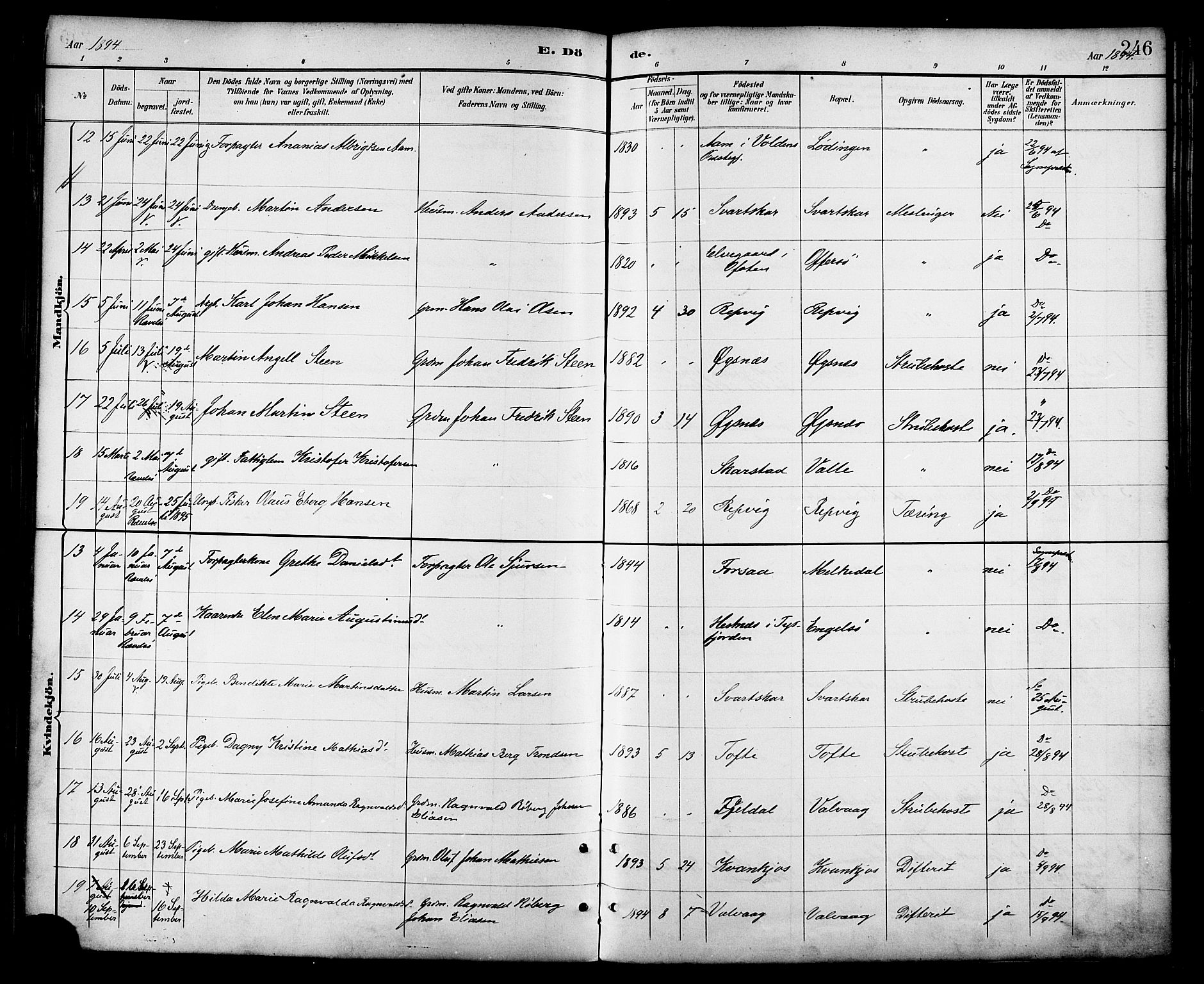 Ministerialprotokoller, klokkerbøker og fødselsregistre - Nordland, AV/SAT-A-1459/872/L1035: Parish register (official) no. 872A10, 1884-1896, p. 246