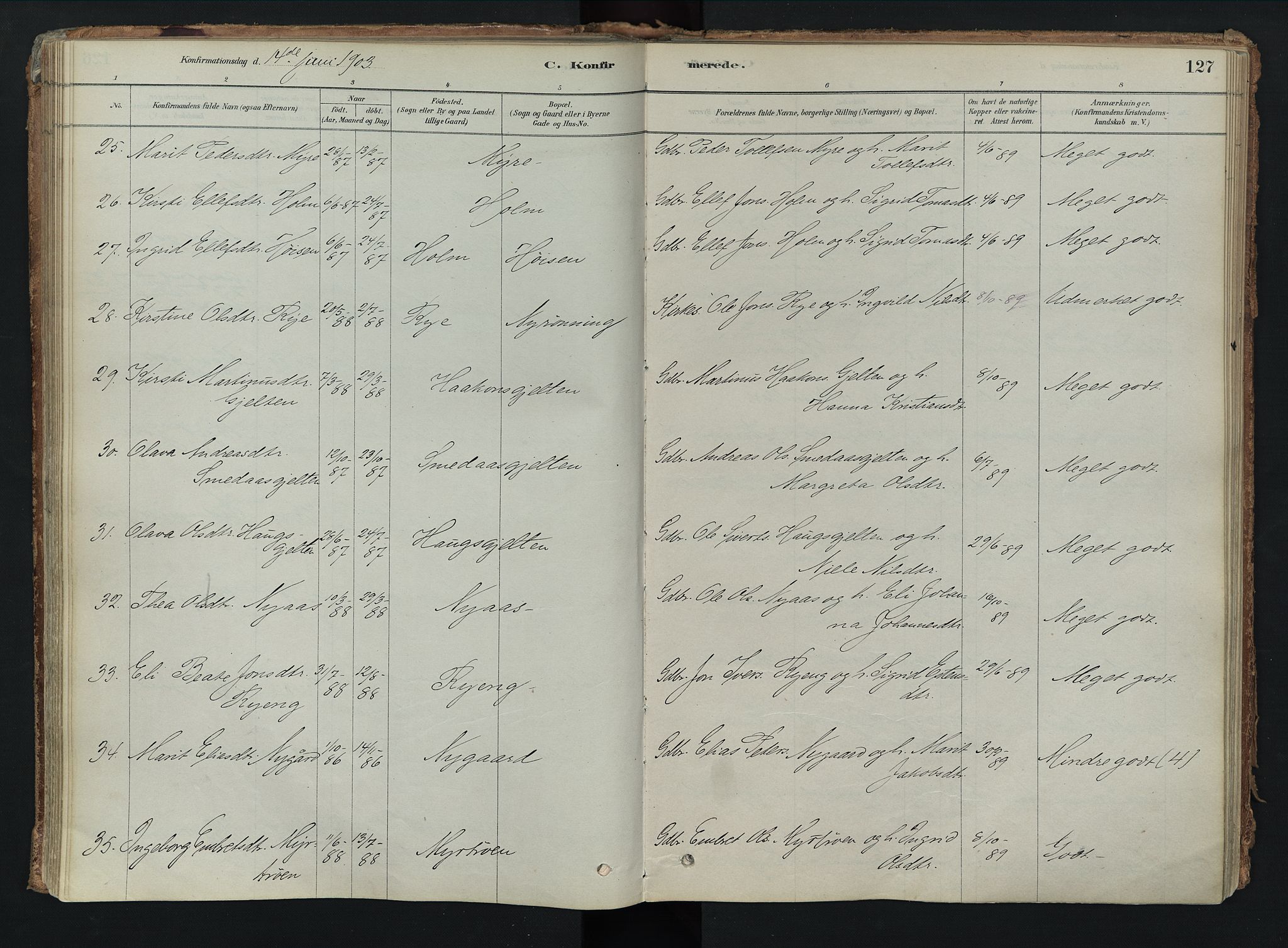 Tolga prestekontor, AV/SAH-PREST-062/K/L0008: Parish register (official) no. 8, 1877-1910, p. 127