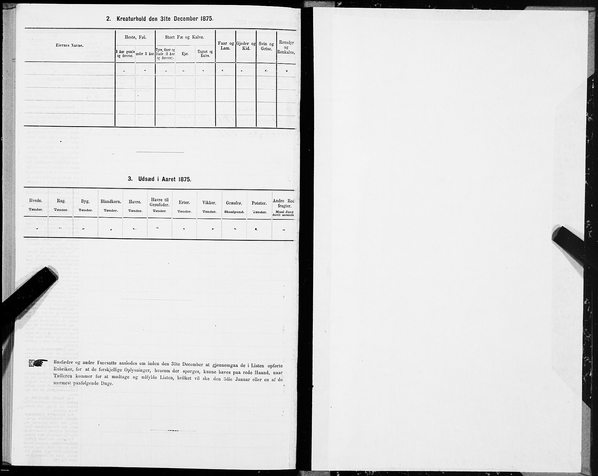 SAT, 1875 census for 1640P Røros, 1875