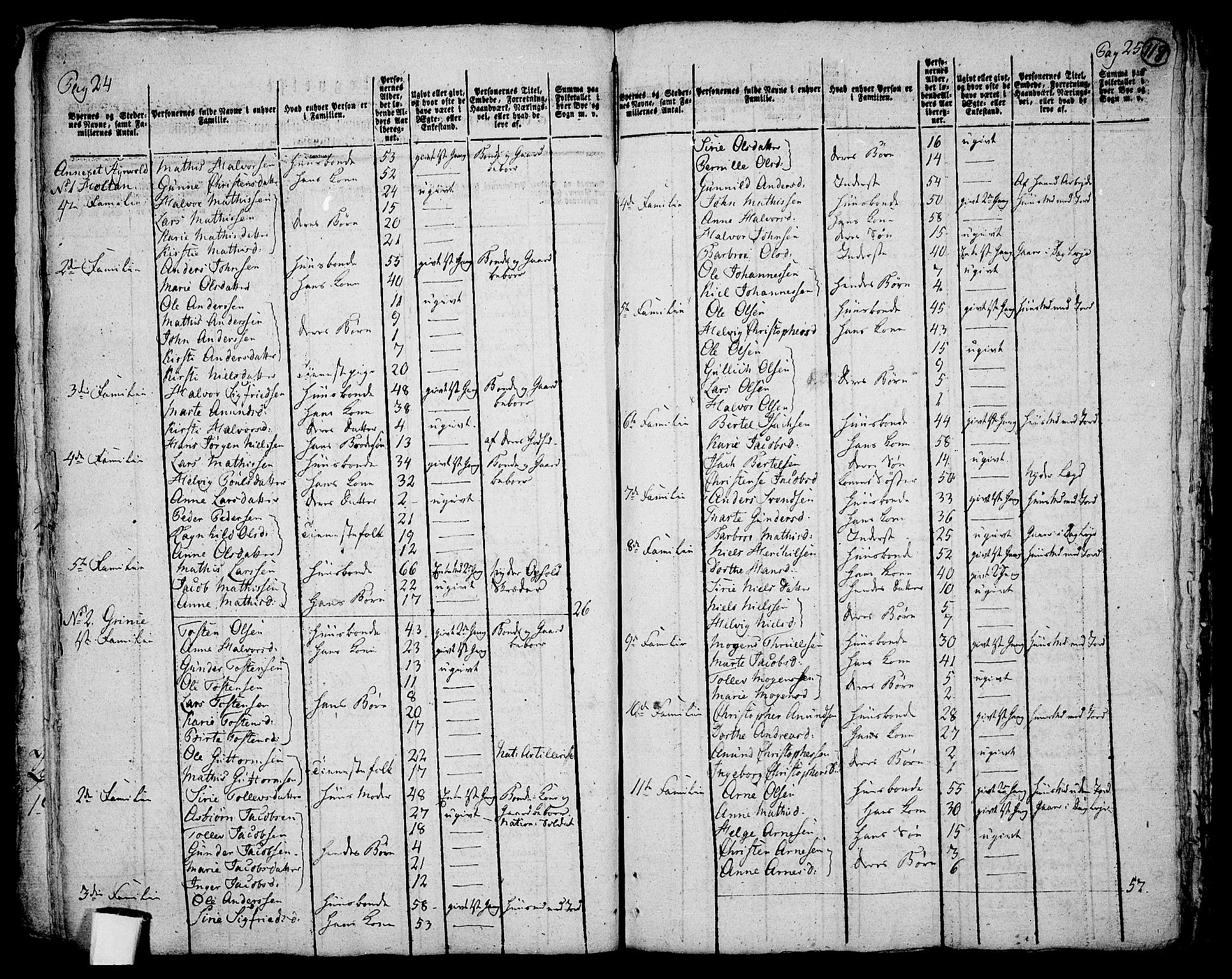 RA, 1801 census for 0728P Lardal, 1801, p. 117b-118a