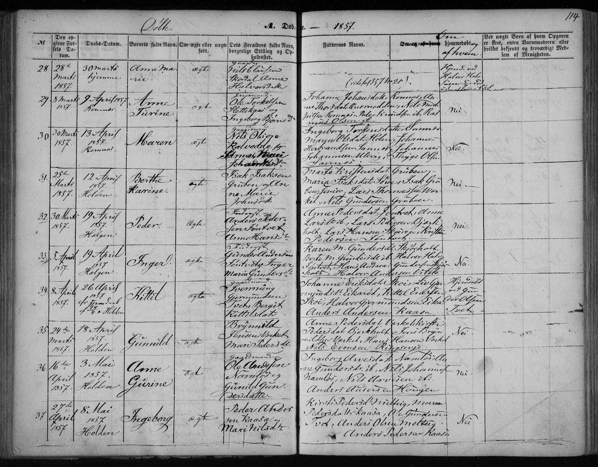 Holla kirkebøker, AV/SAKO-A-272/F/Fa/L0005: Parish register (official) no. 5, 1849-1860, p. 114