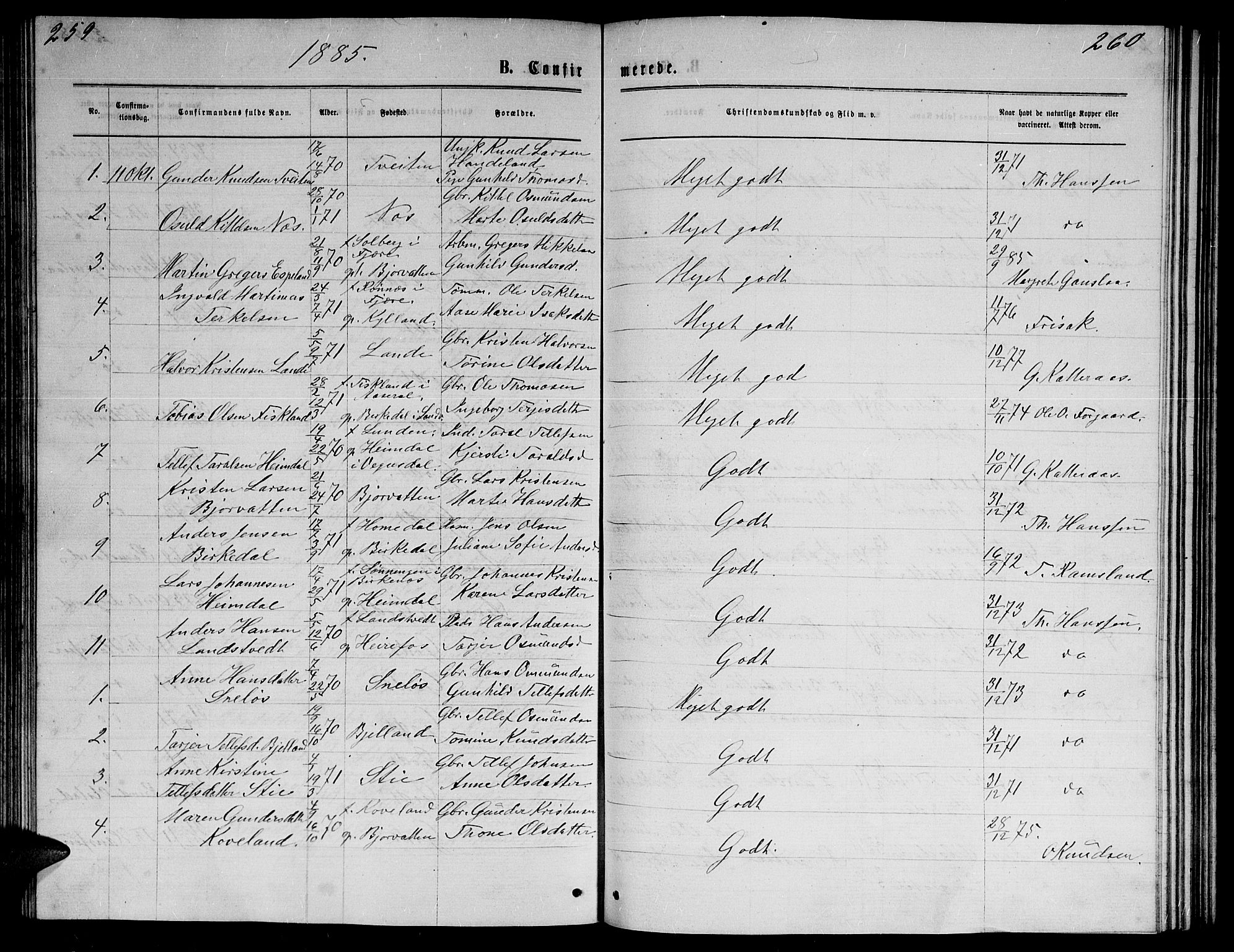Herefoss sokneprestkontor, SAK/1111-0019/F/Fb/Fba/L0002: Parish register (copy) no. B 2, 1868-1886, p. 259-260