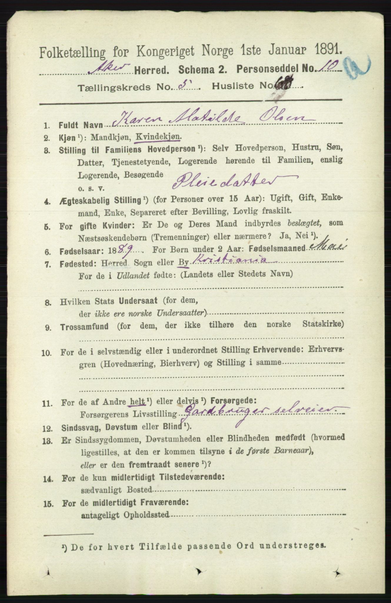 RA, 1891 census for 0218 Aker, 1891, p. 5400