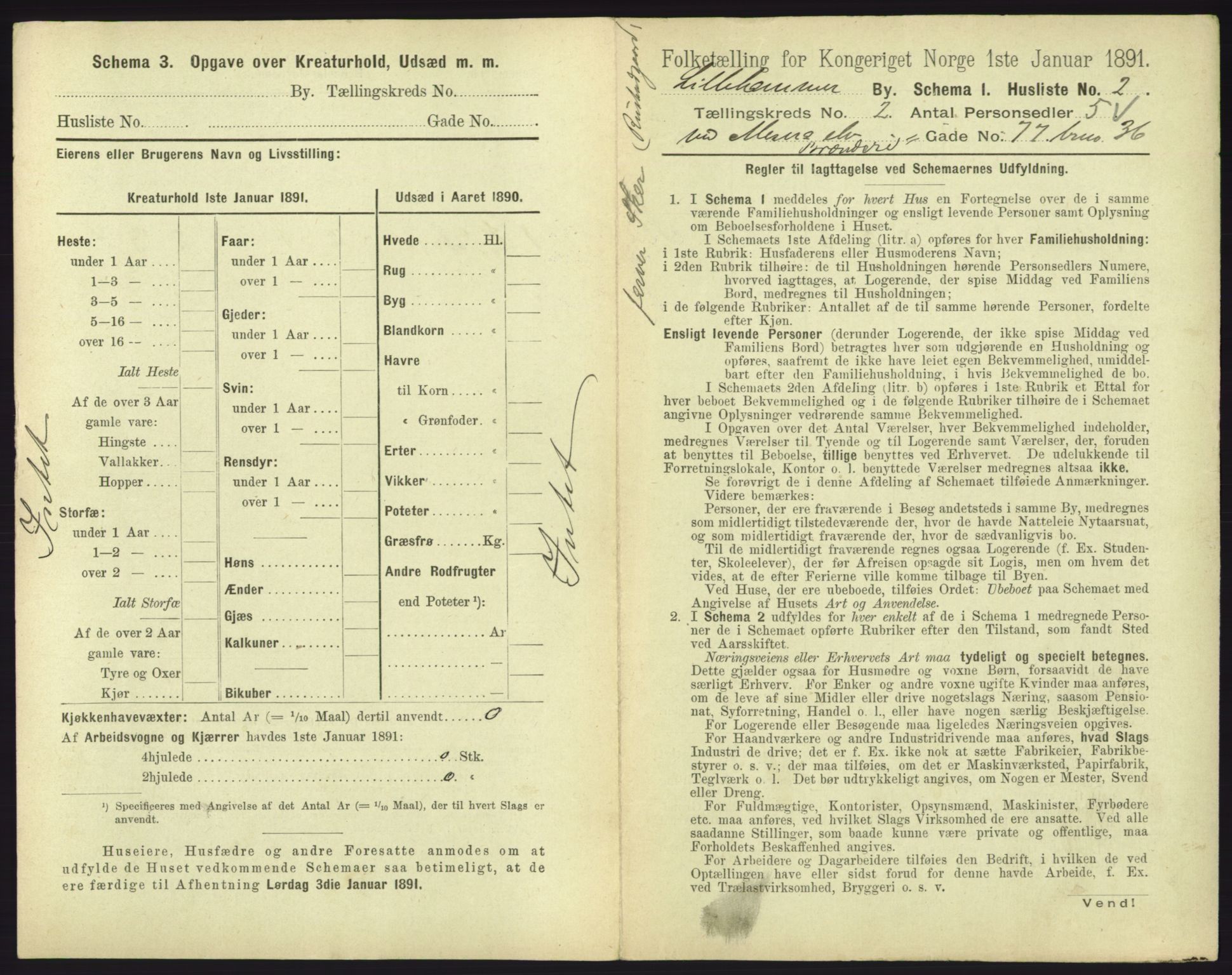 RA, 1891 census for 0501 Lillehammer, 1891, p. 213