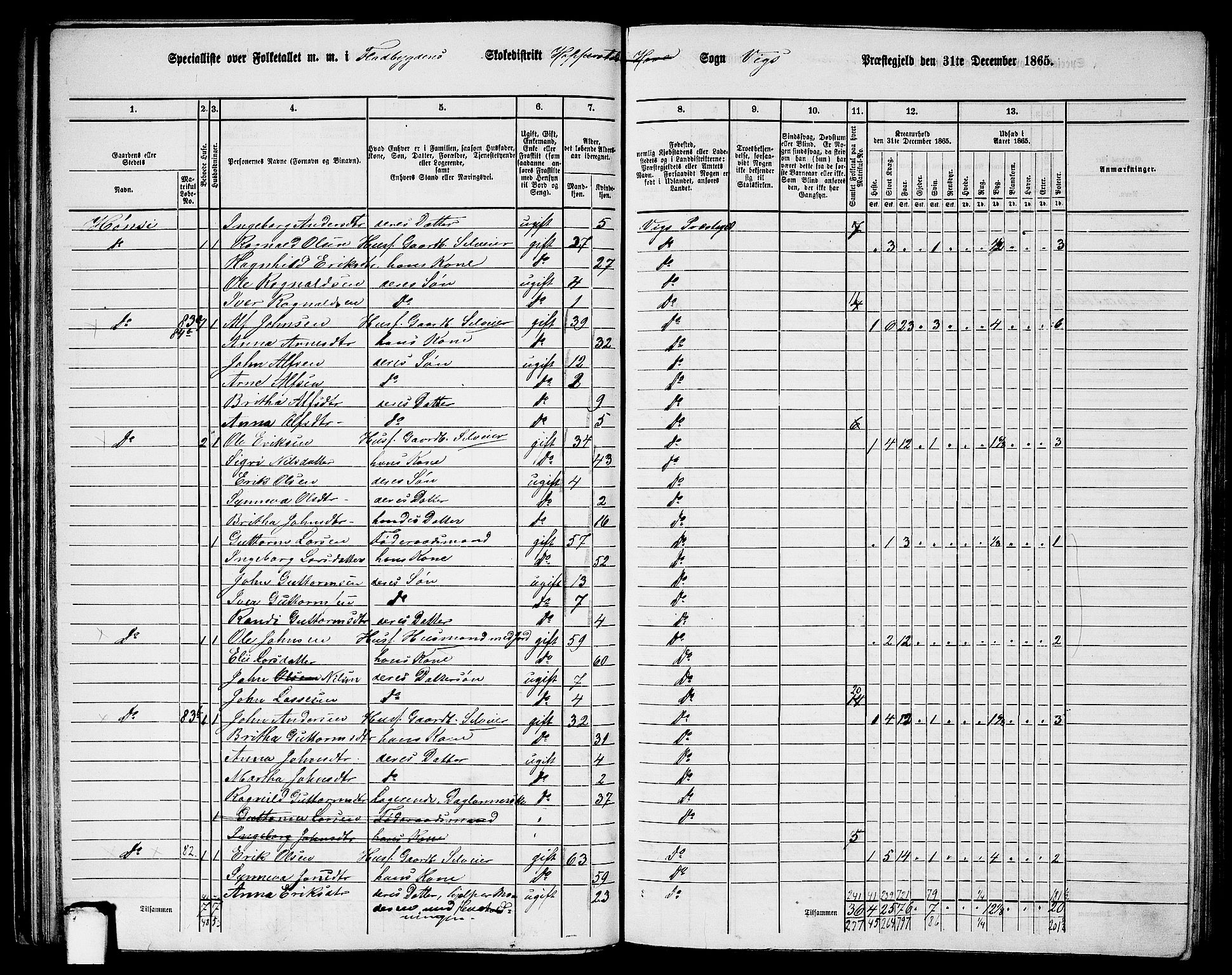RA, 1865 census for Vik, 1865, p. 52