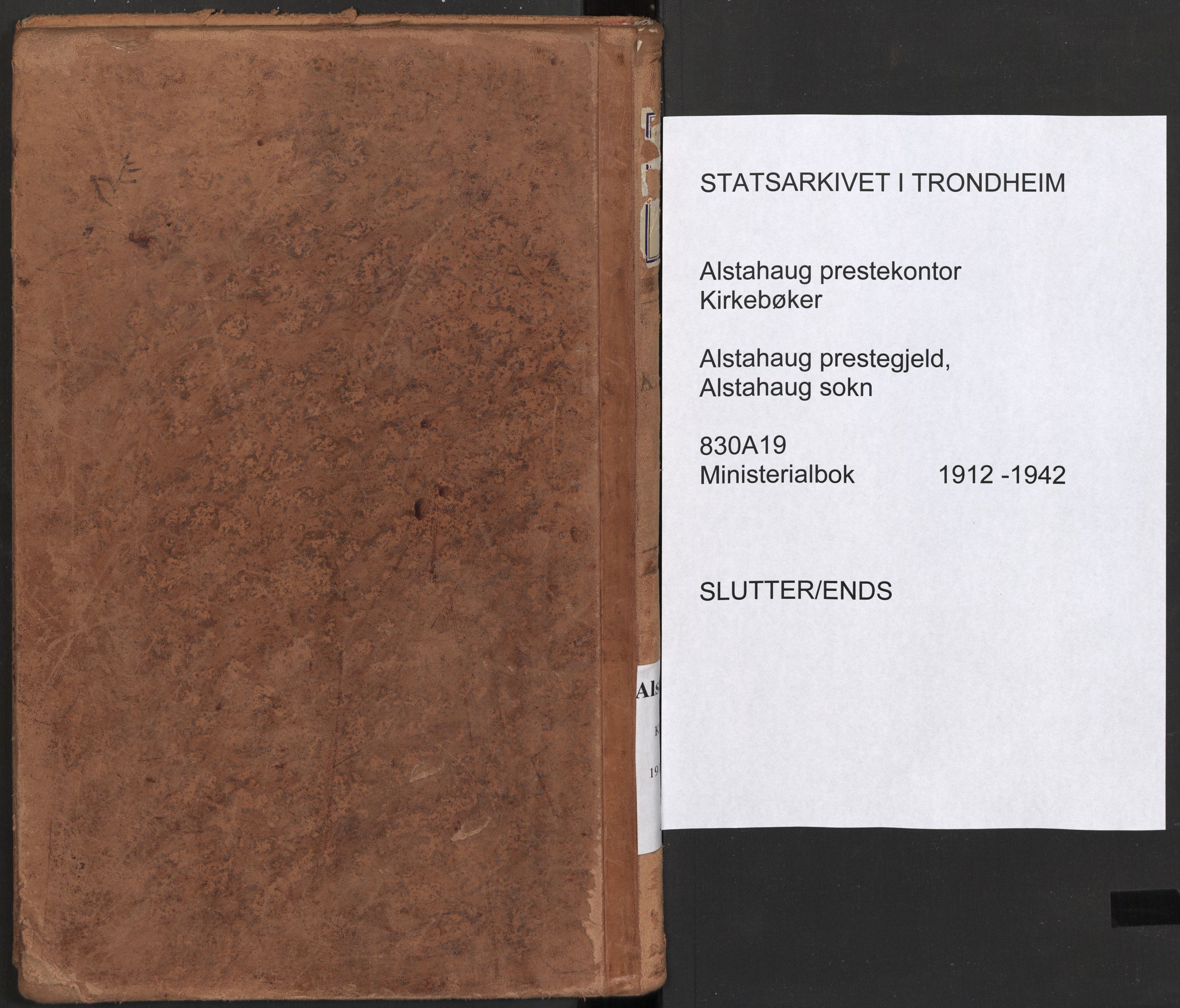 Ministerialprotokoller, klokkerbøker og fødselsregistre - Nordland, AV/SAT-A-1459/830/L0454: Parish register (official) no. 830A18, 1897-1913