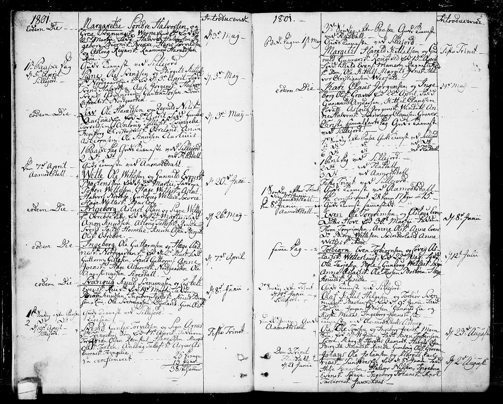 Seljord kirkebøker, SAKO/A-20/F/Fa/L0009: Parish register (official) no. I 9, 1801-1814, p. 5