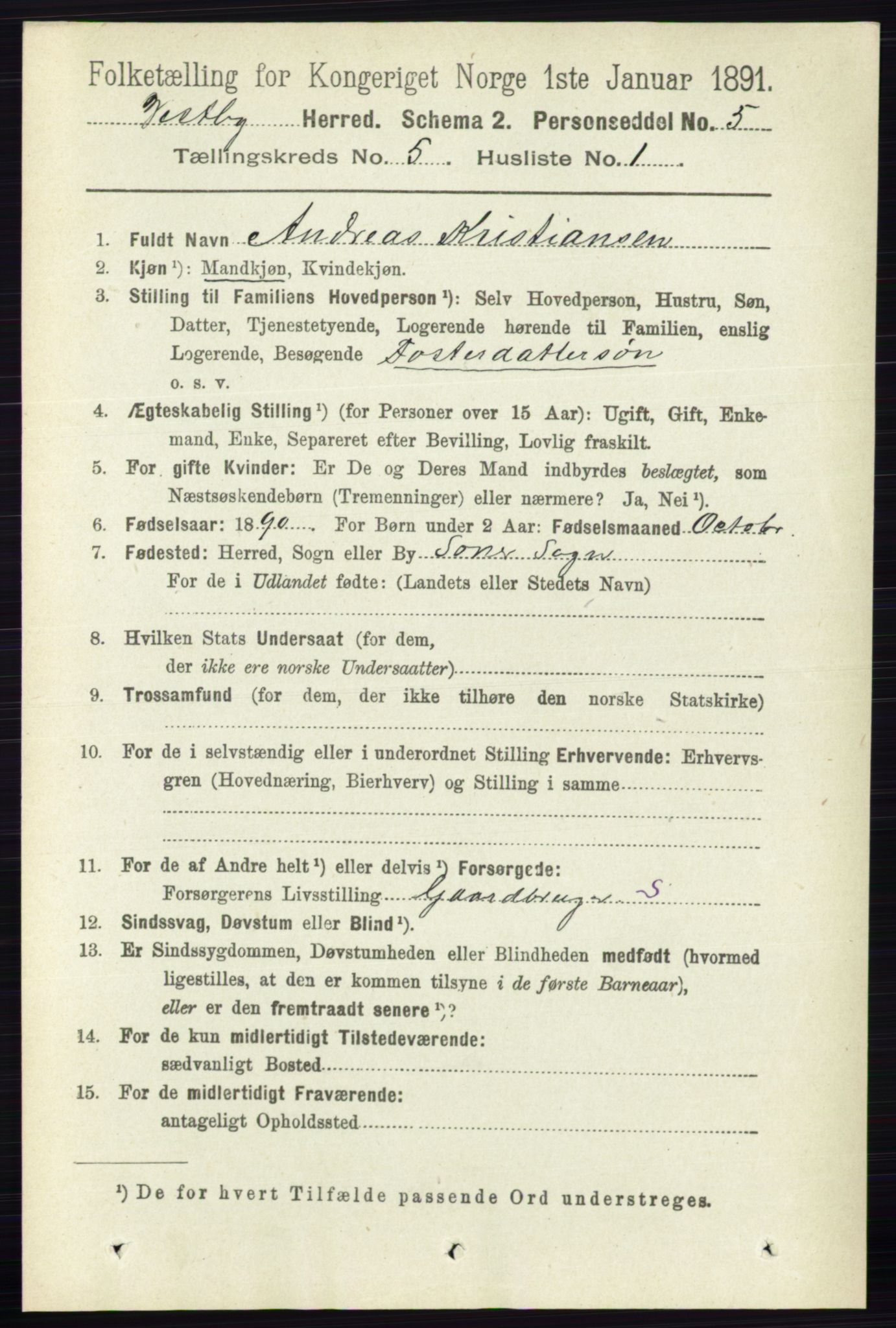 RA, 1891 census for 0211 Vestby, 1891, p. 2177