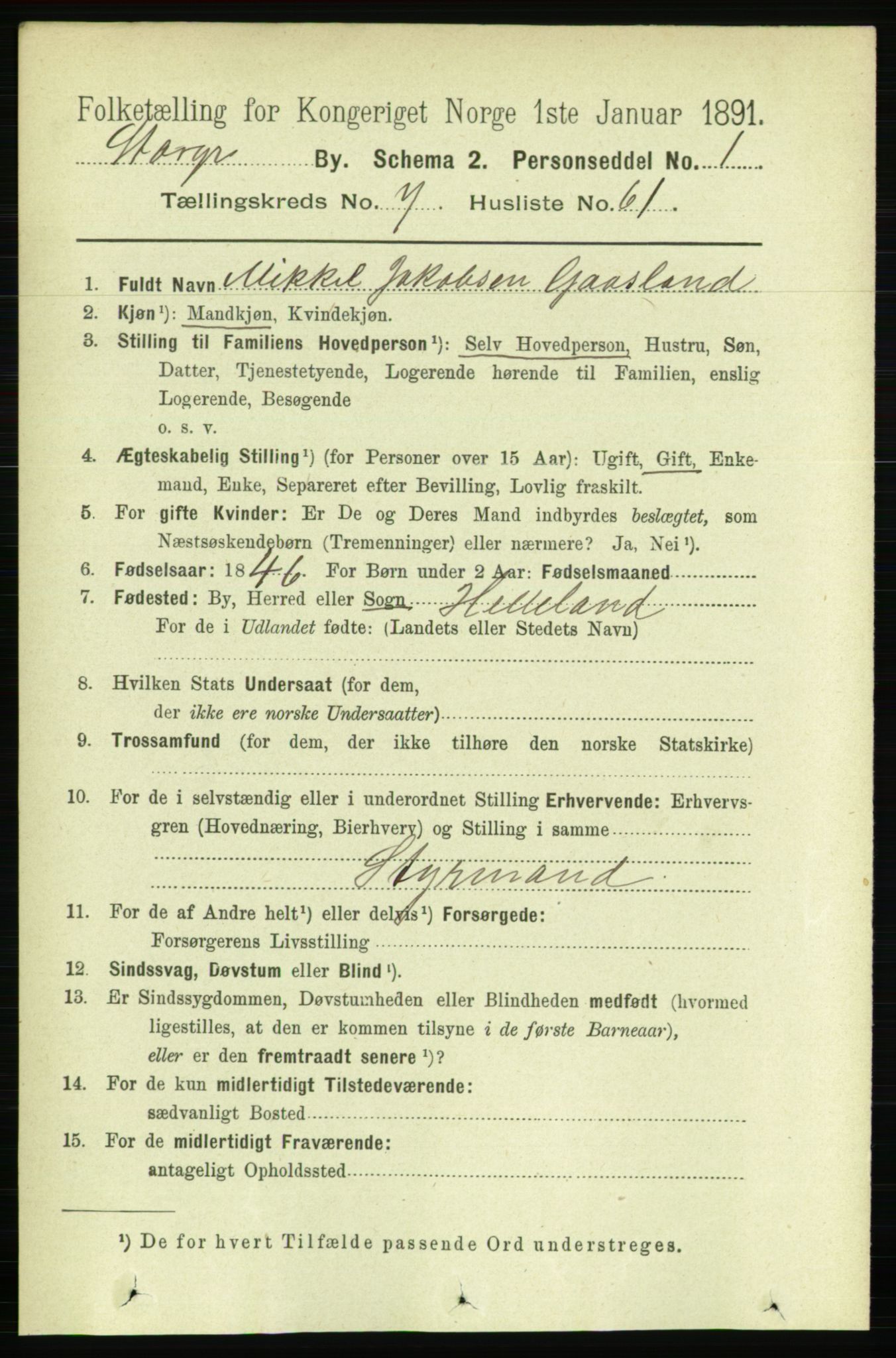 RA, 1891 census for 1103 Stavanger, 1891, p. 11581