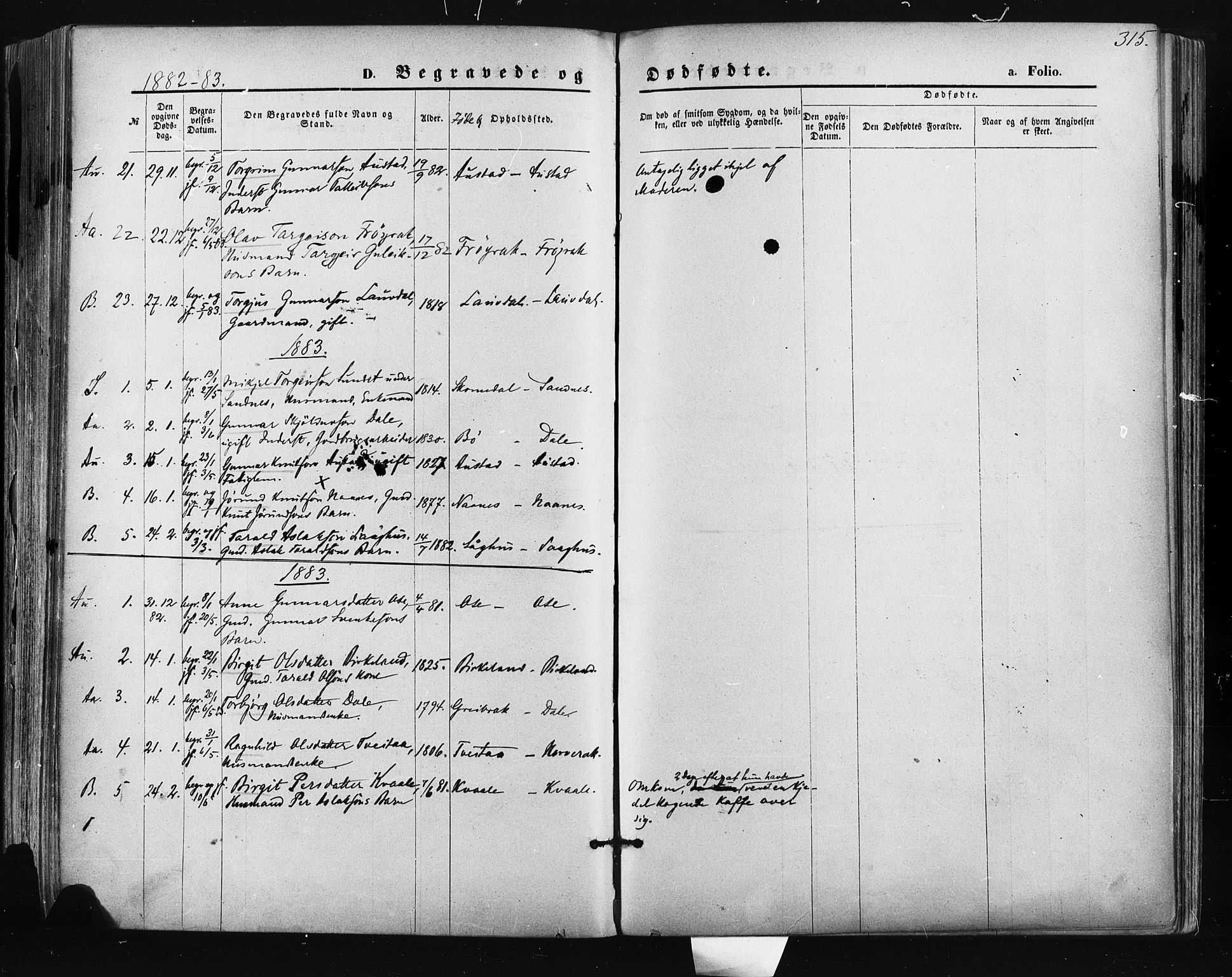 Bygland sokneprestkontor, SAK/1111-0006/F/Fa/Fab/L0006: Parish register (official) no. A 6, 1873-1884, p. 315