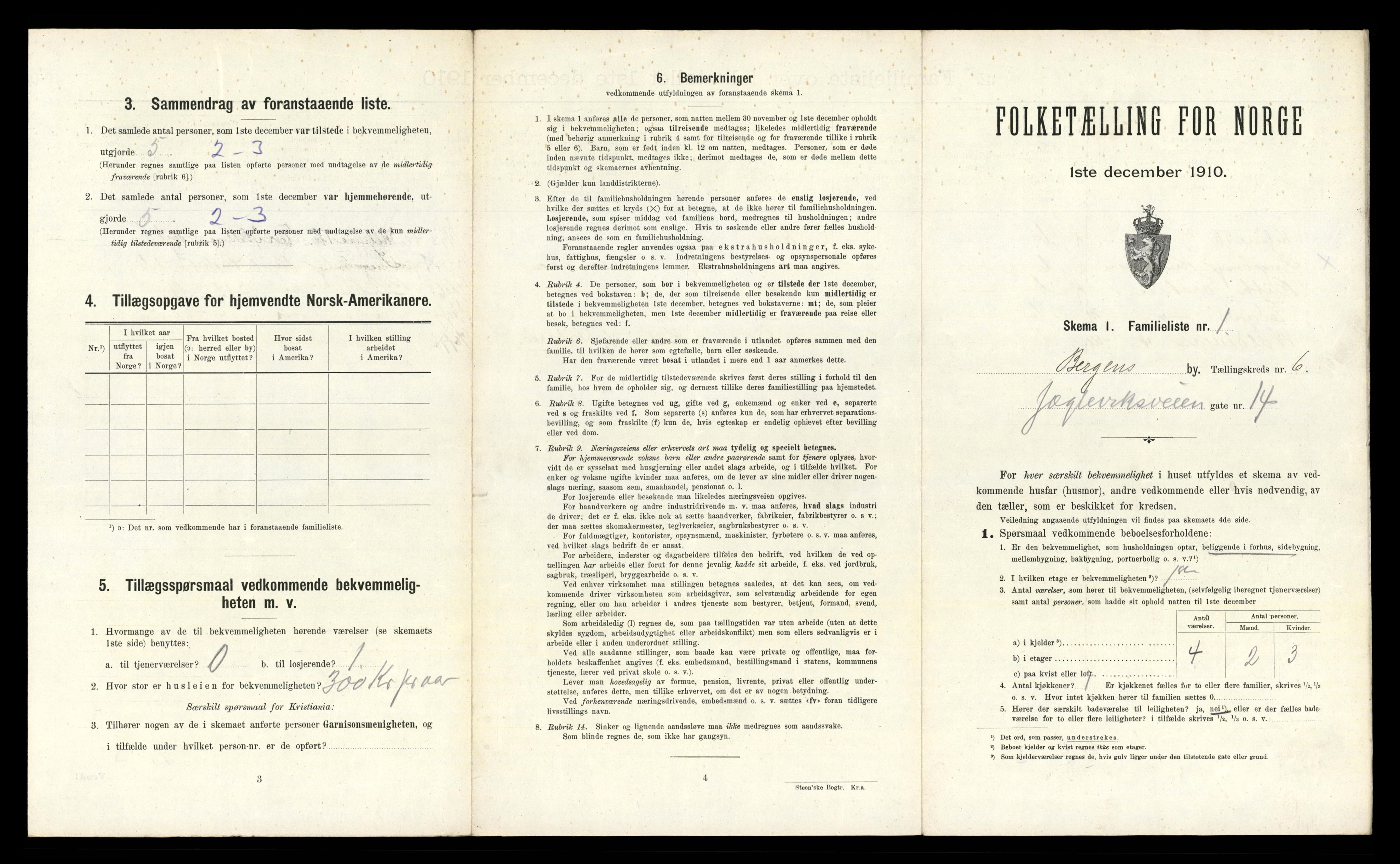 RA, 1910 census for Bergen, 1910, p. 1919