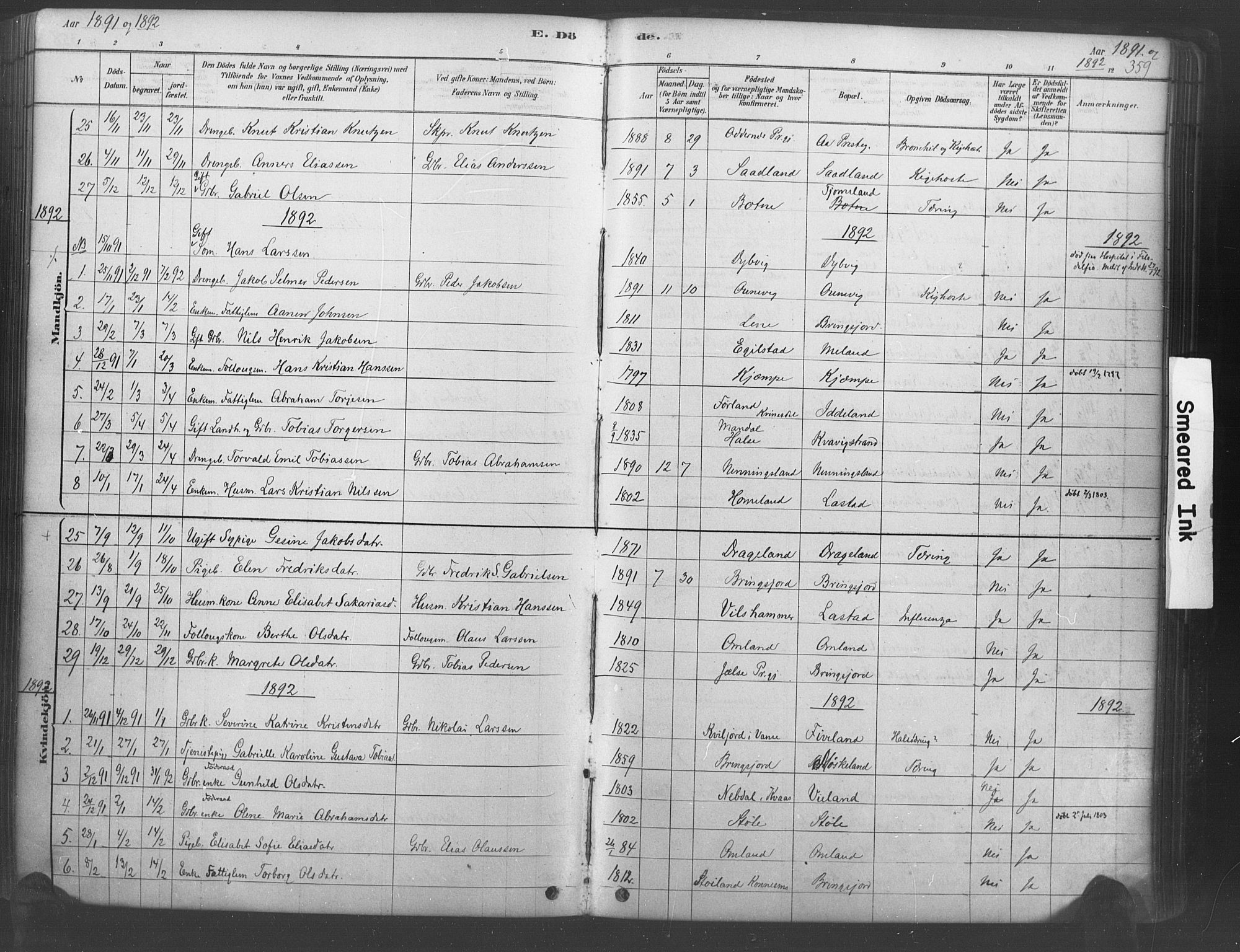 Lyngdal sokneprestkontor, AV/SAK-1111-0029/F/Fa/Fac/L0011: Parish register (official) no. A 11, 1878-1893, p. 359