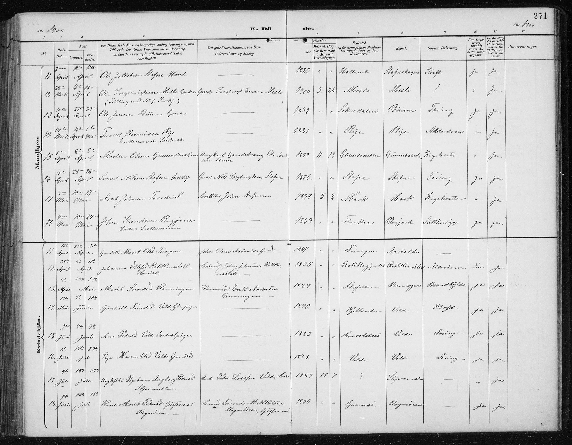 Ministerialprotokoller, klokkerbøker og fødselsregistre - Sør-Trøndelag, AV/SAT-A-1456/674/L0876: Parish register (copy) no. 674C03, 1892-1912, p. 271