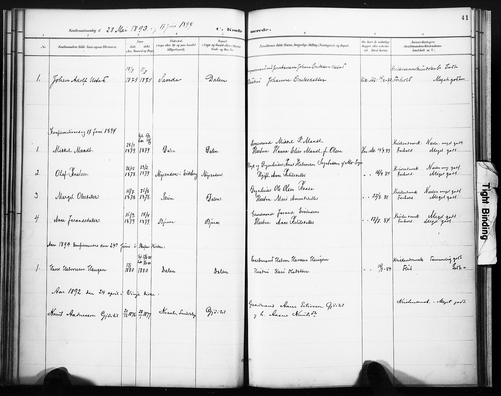 Lårdal kirkebøker, SAKO/A-284/F/Fb/L0002: Parish register (official) no. II 2, 1887-1918, p. 41