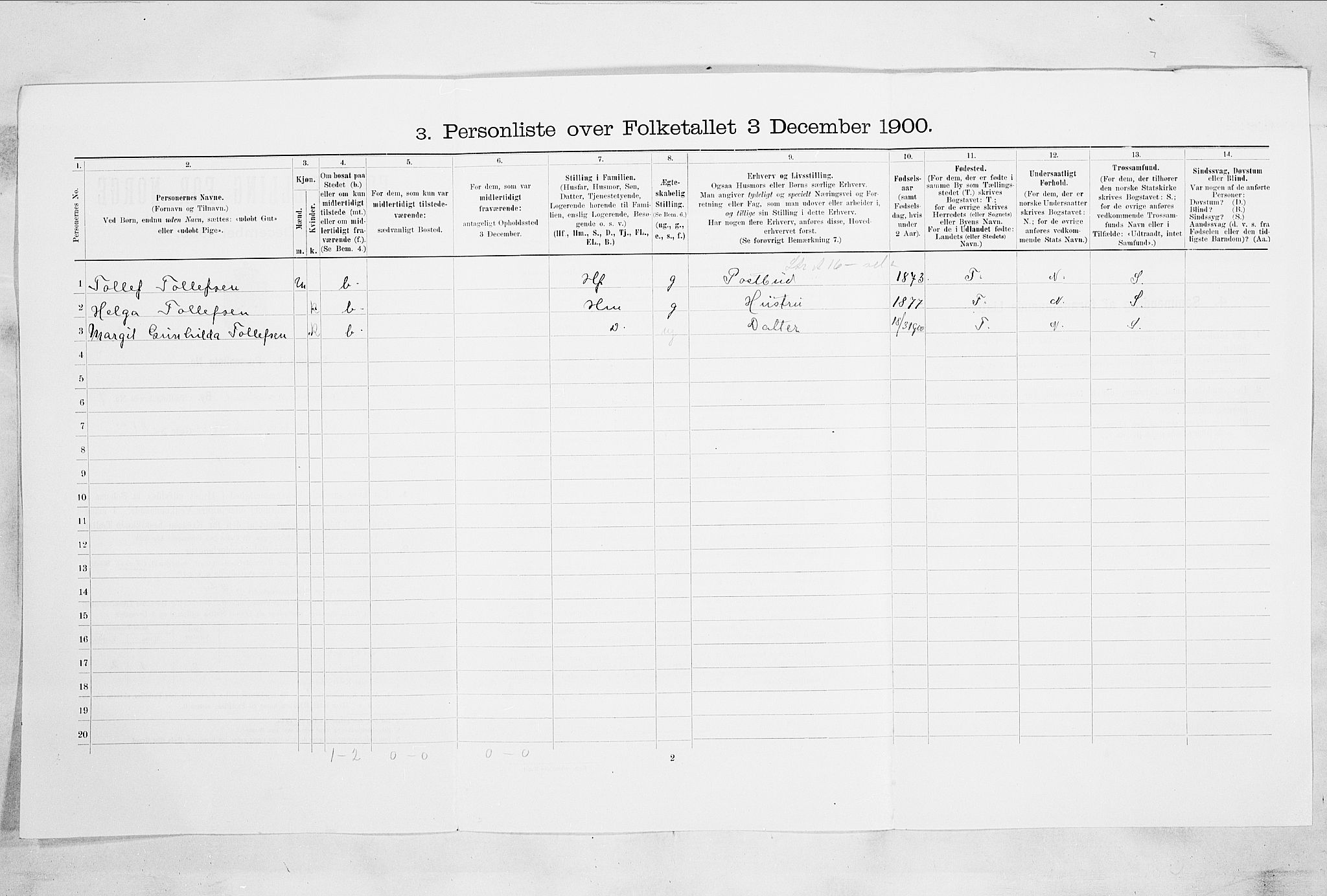 RA, 1900 census for Drammen, 1900, p. 1317