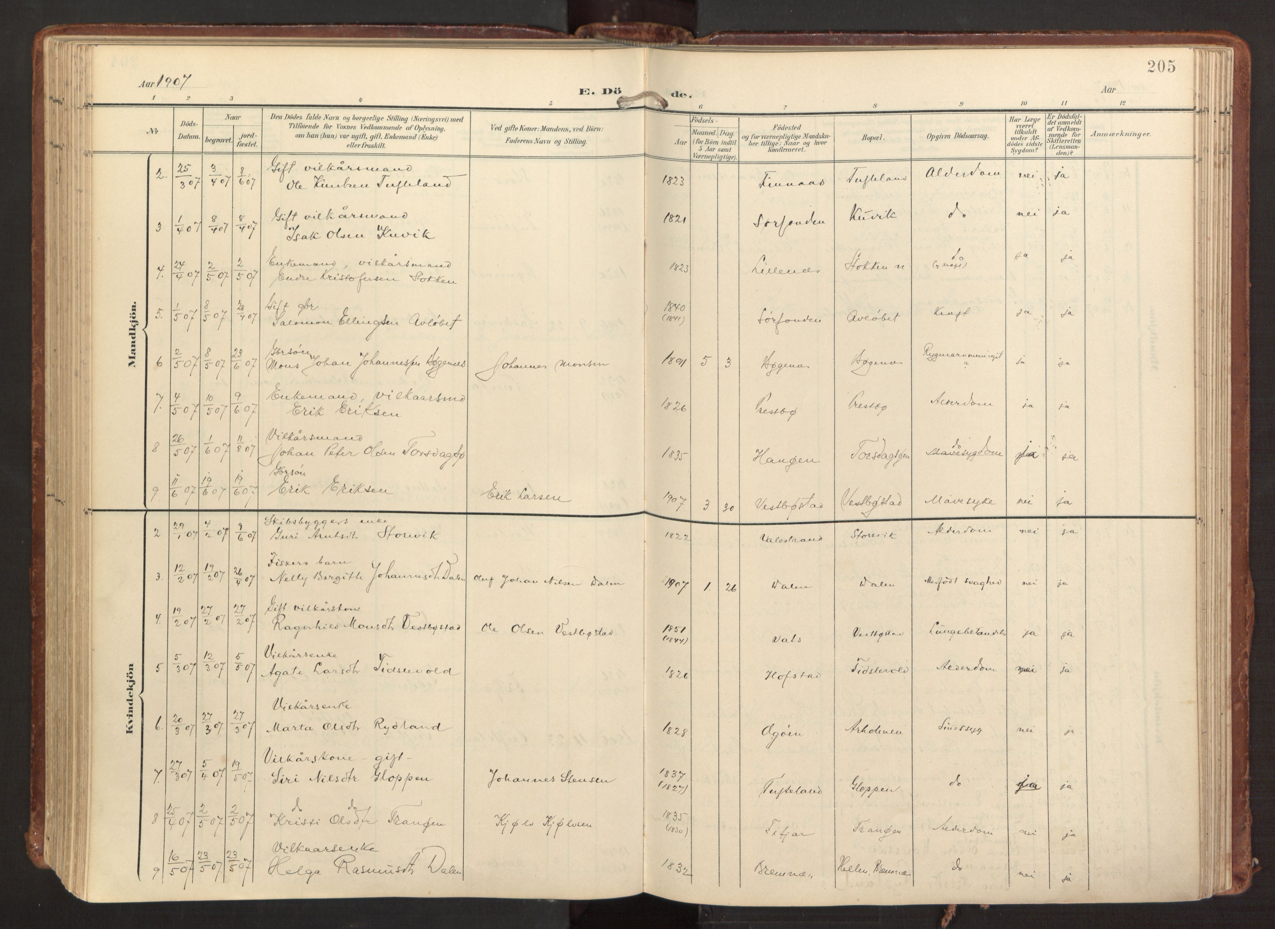 Fitjar sokneprestembete, AV/SAB-A-99926: Parish register (official) no. A 3, 1900-1918, p. 205