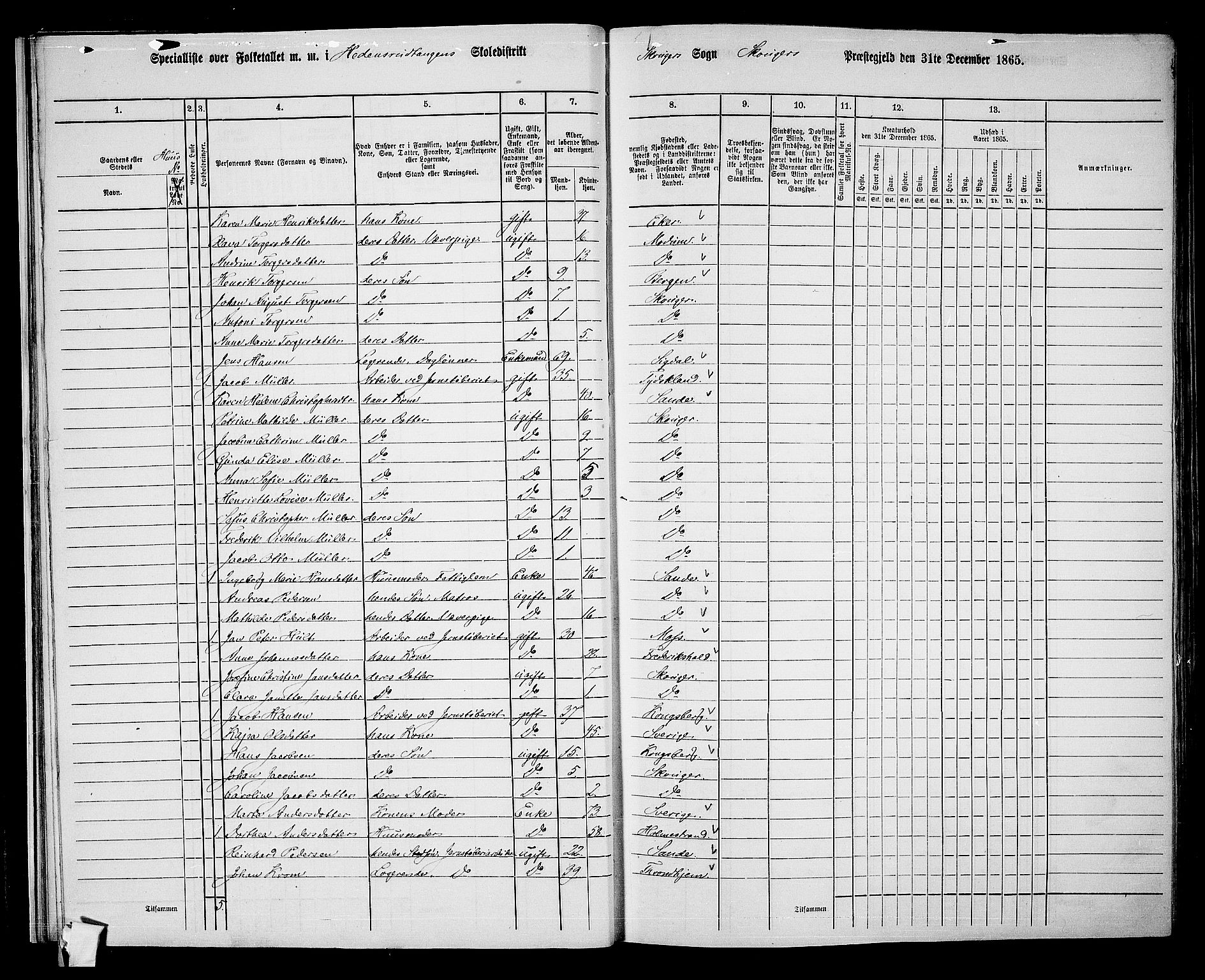 RA, 1865 census for Skoger, 1865, p. 28