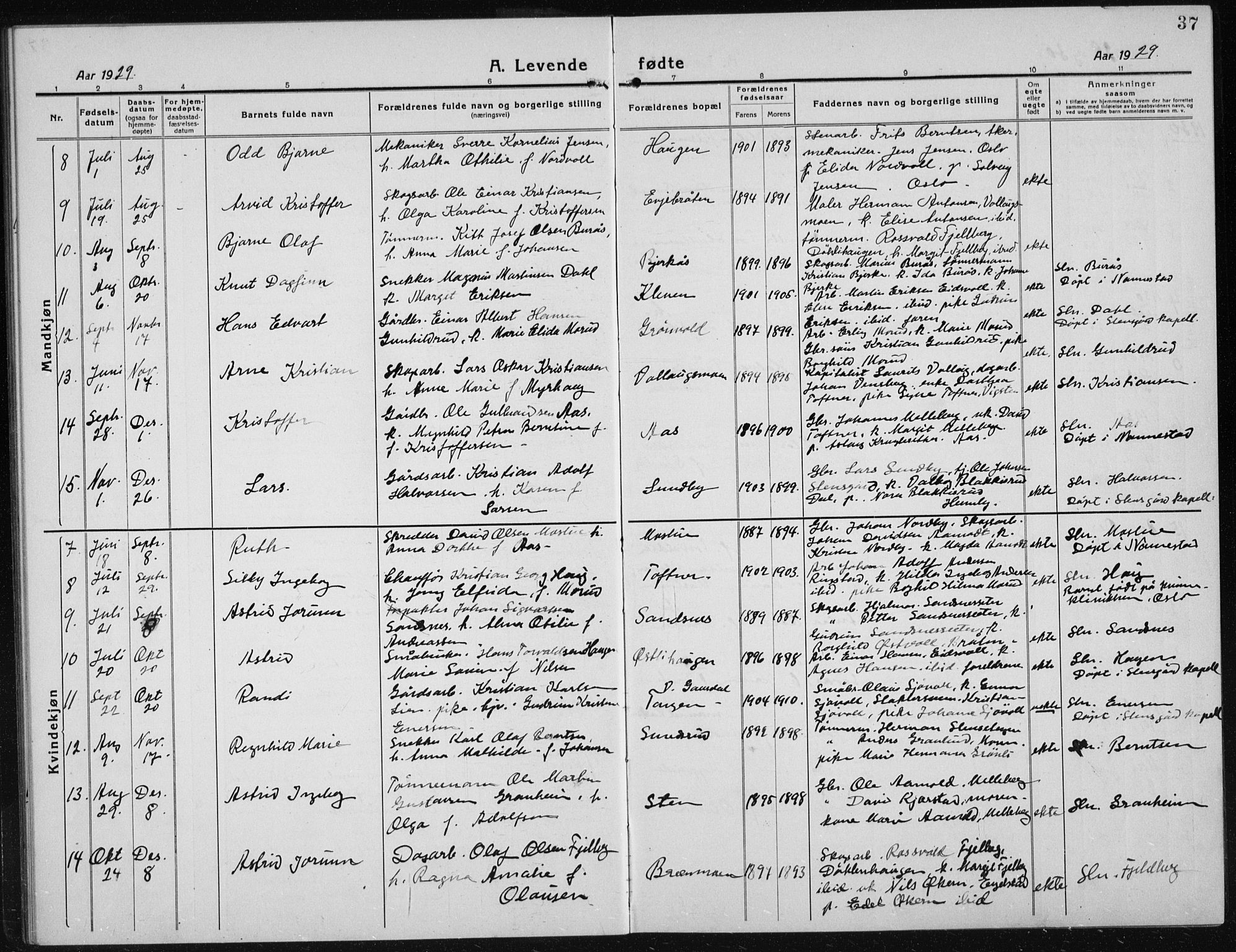 Nannestad prestekontor Kirkebøker, AV/SAO-A-10414a/G/Gc/L0002: Parish register (copy) no. III 2, 1917-1940, p. 37