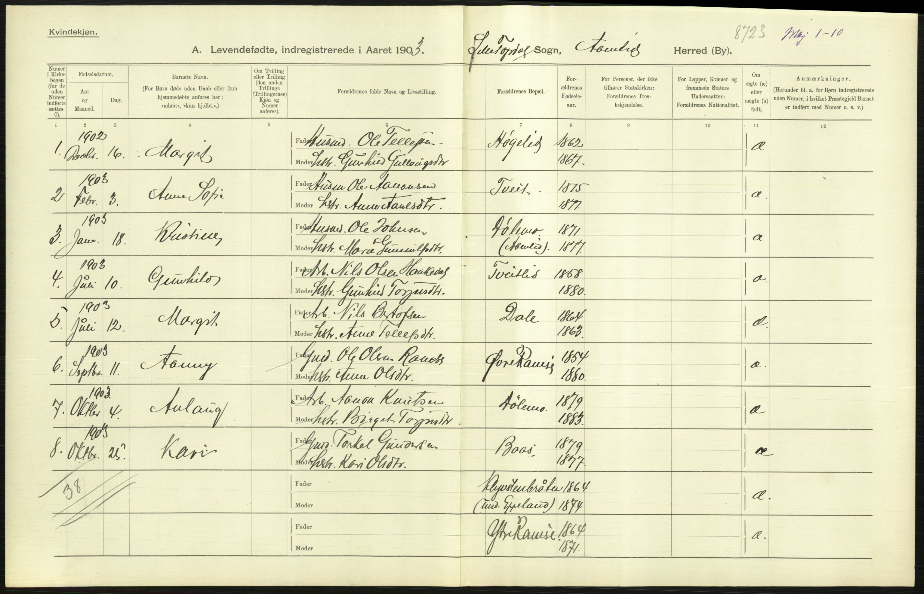 Statistisk sentralbyrå, Sosiodemografiske emner, Befolkning, AV/RA-S-2228/D/Df/Dfa/Dfaa/L0010: Nedenes amt: Fødte, gifte, døde, 1903, p. 45