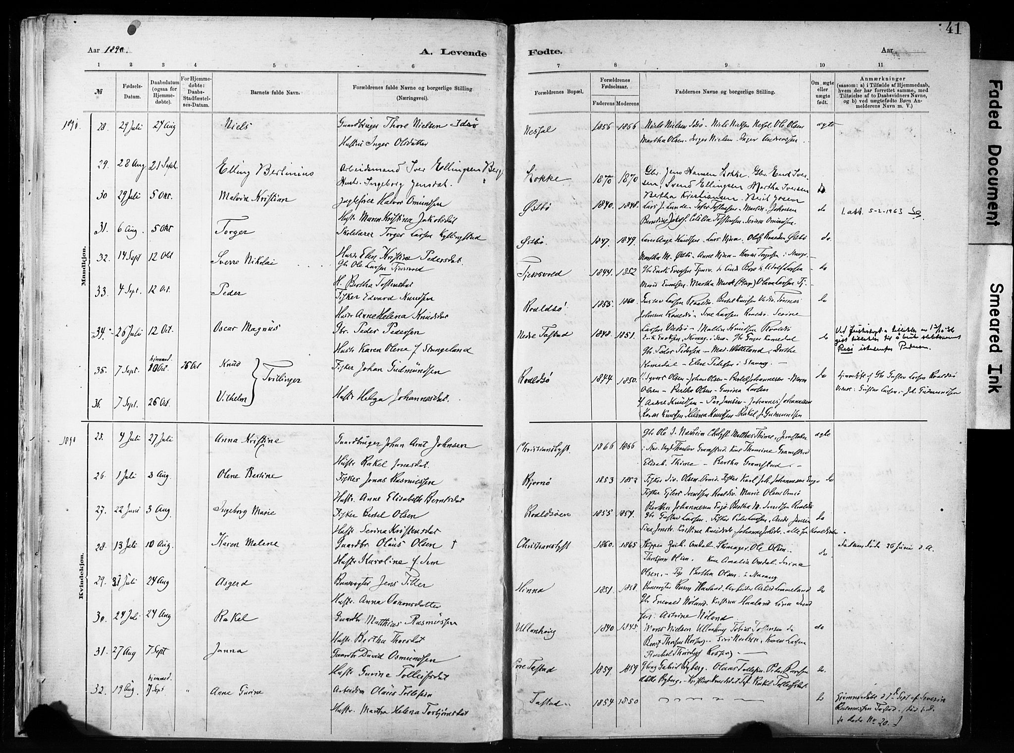 Hetland sokneprestkontor, AV/SAST-A-101826/30/30BA/L0011: Parish register (official) no. A 11, 1884-1911, p. 41