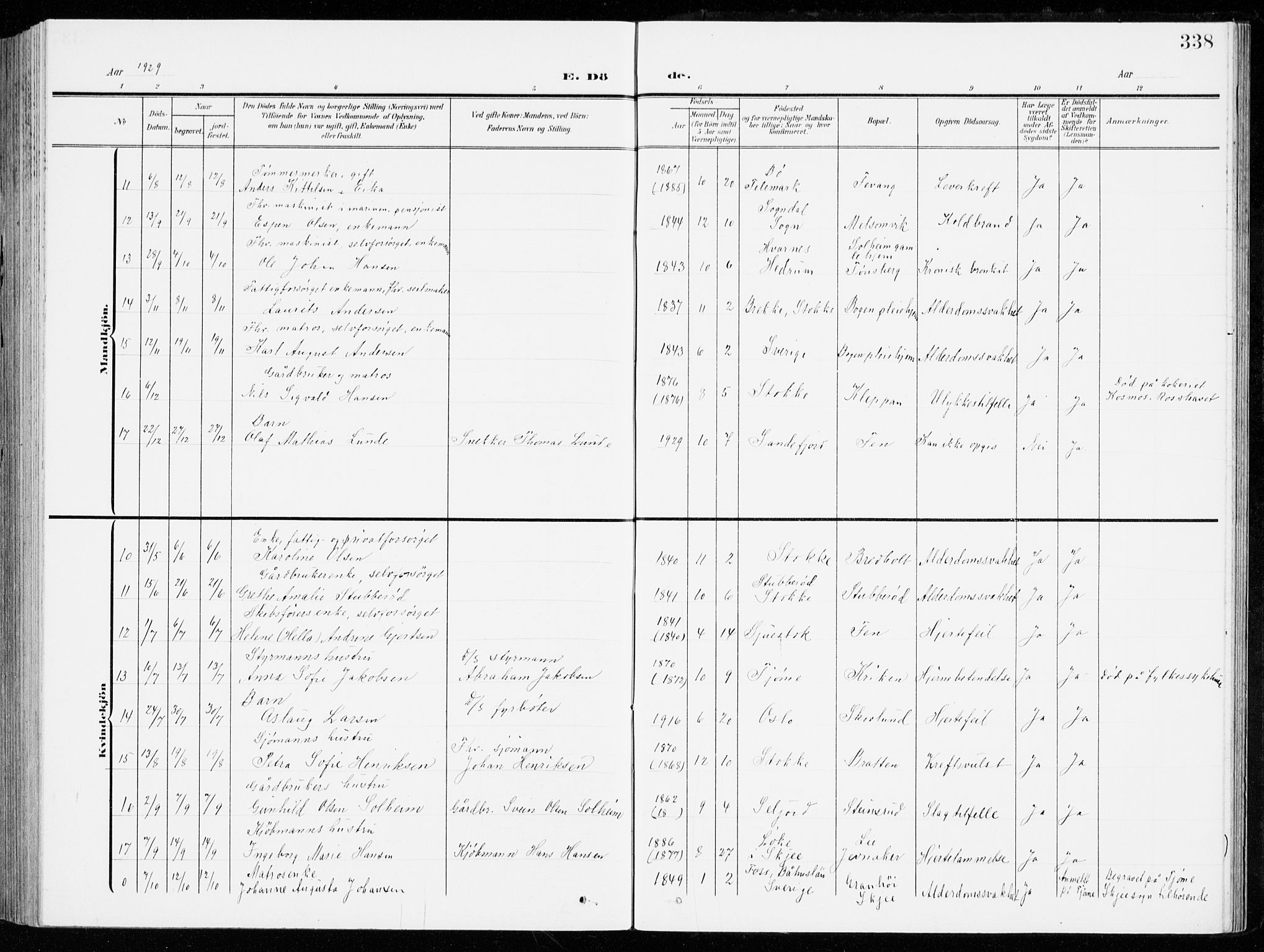 Stokke kirkebøker, AV/SAKO-A-320/G/Ga/L0001: Parish register (copy) no. I 1, 1904-1940, p. 338