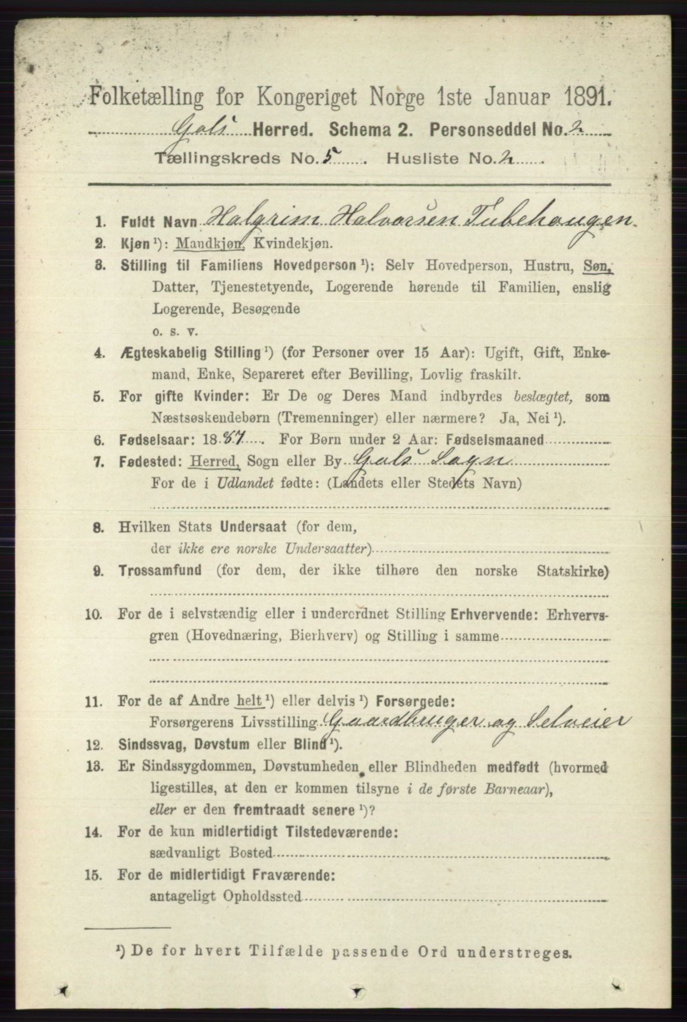 RA, 1891 census for 0617 Gol og Hemsedal, 1891, p. 2313