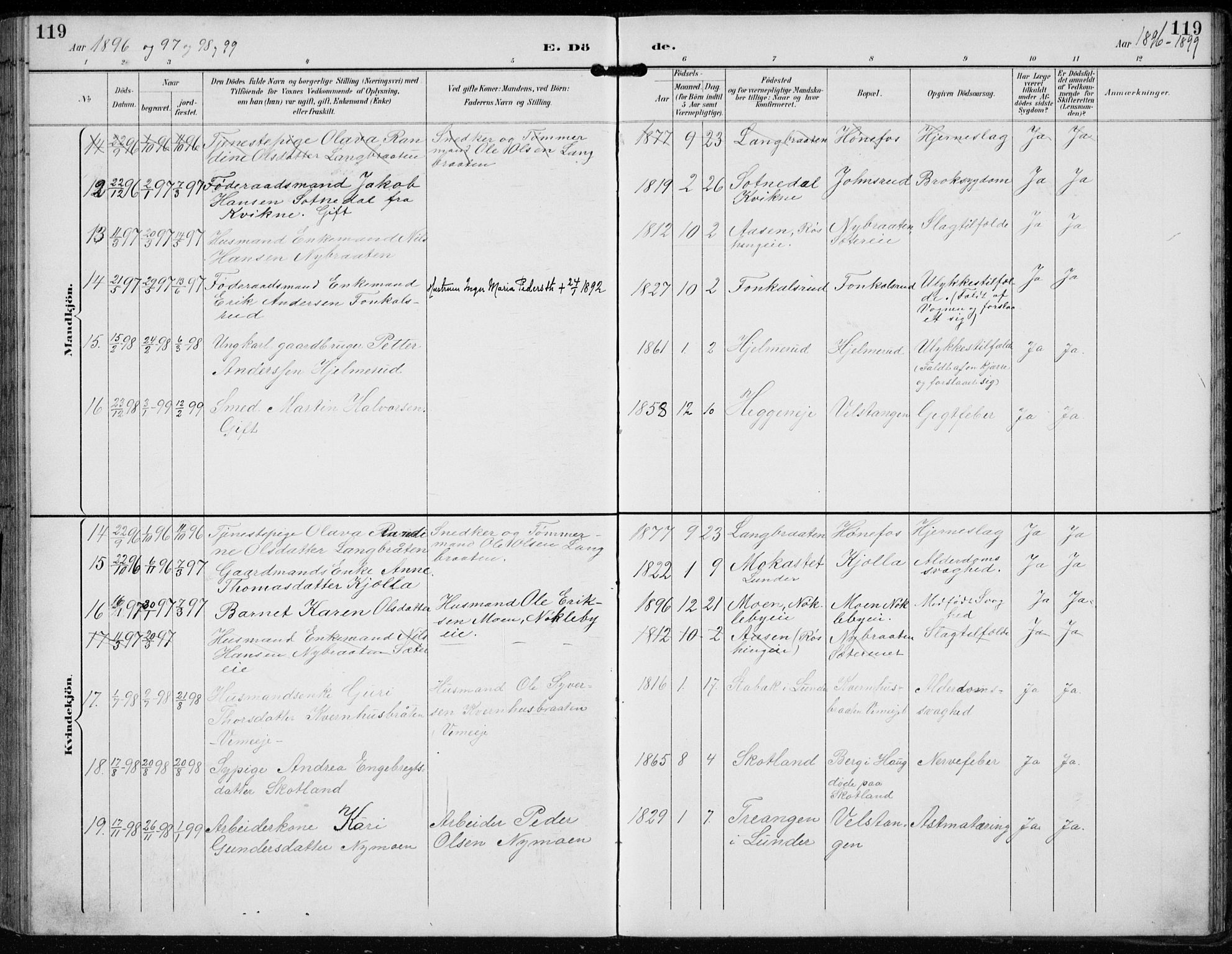 Lunder kirkebøker, AV/SAKO-A-629/F/Fb/L0001: Parish register (official) no. II 1, 1893-1916, p. 119