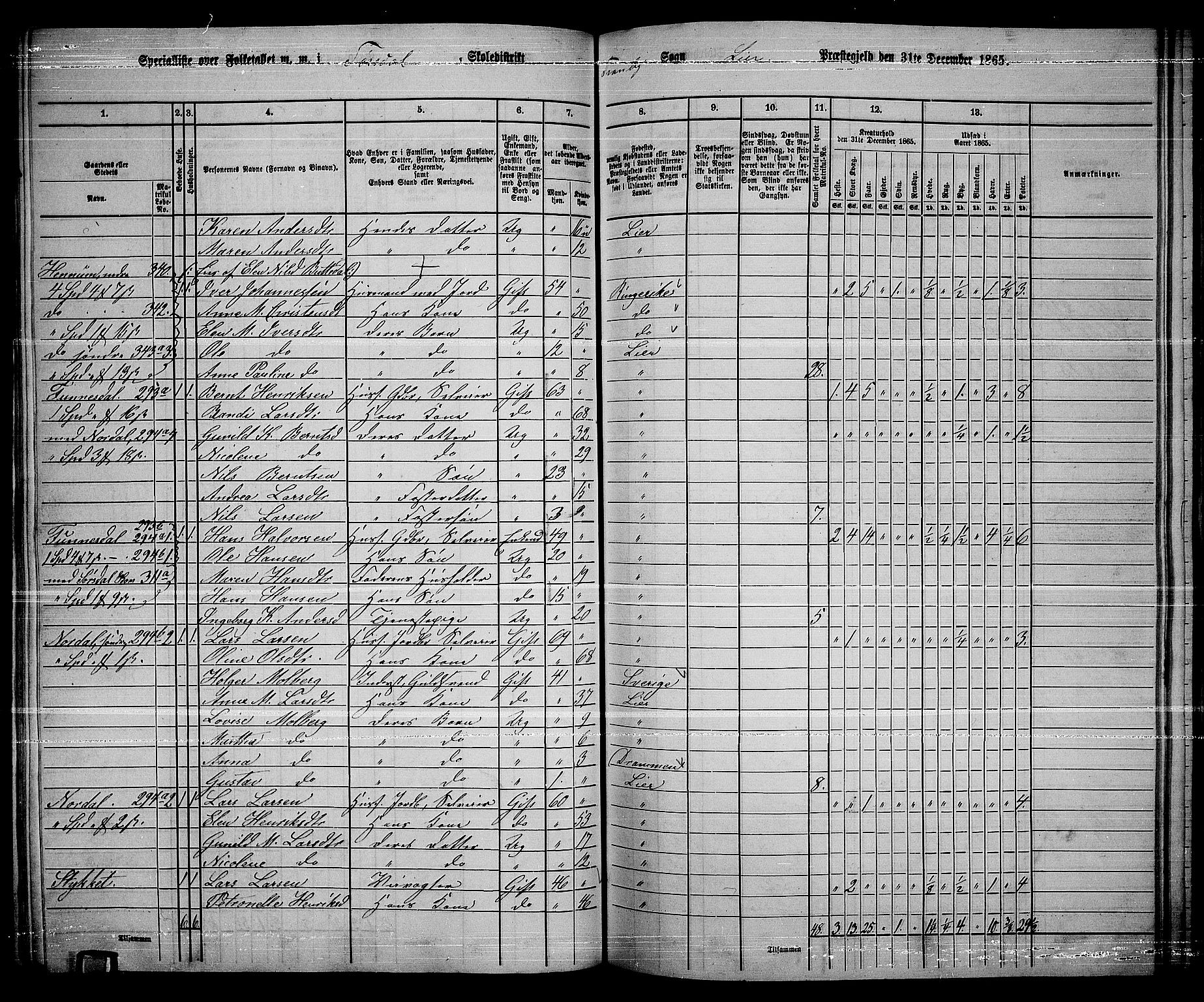 RA, 1865 census for Lier, 1865, p. 160