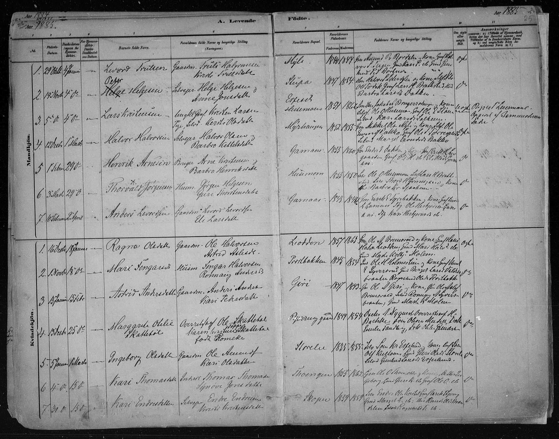 Nes kirkebøker, SAKO/A-236/F/Fa/L0011: Parish register (official) no. 11, 1881-1912, p. 25