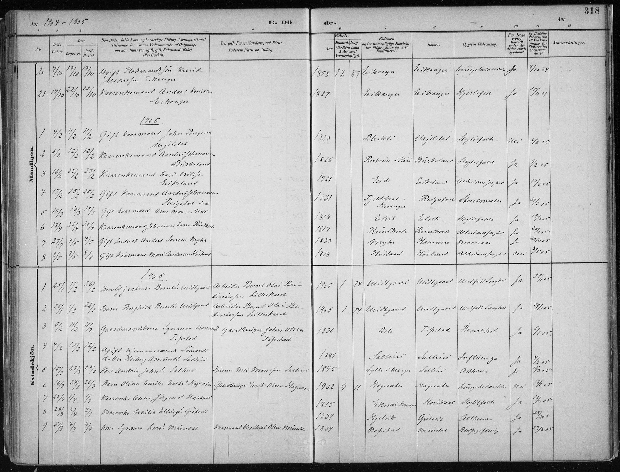 Hamre sokneprestembete, AV/SAB-A-75501/H/Ha/Haa/Haab/L0001: Parish register (official) no. B  1, 1882-1905, p. 318