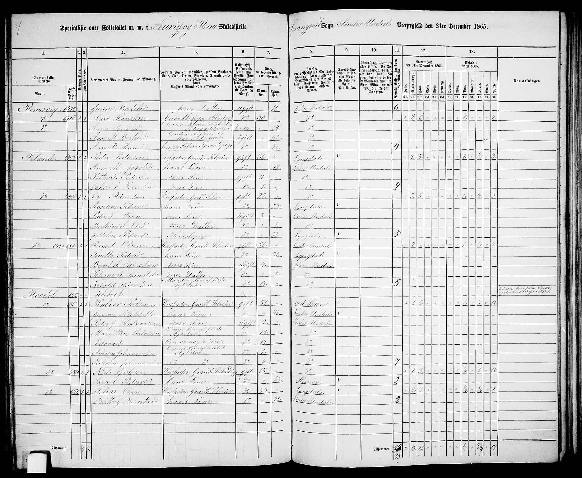 RA, 1865 census for Sør-Audnedal, 1865, p. 148