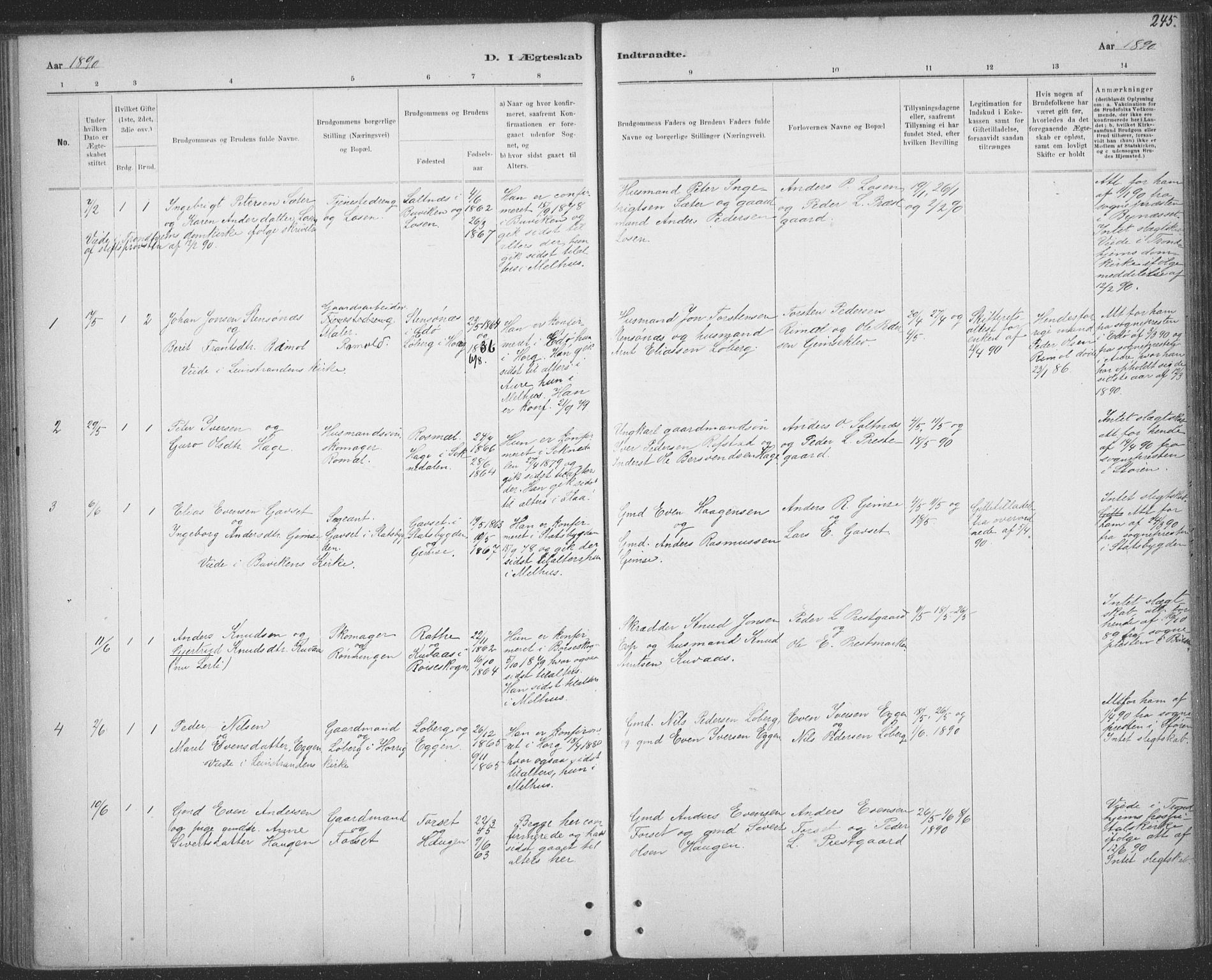 Ministerialprotokoller, klokkerbøker og fødselsregistre - Sør-Trøndelag, SAT/A-1456/691/L1085: Parish register (official) no. 691A17, 1887-1908, p. 245