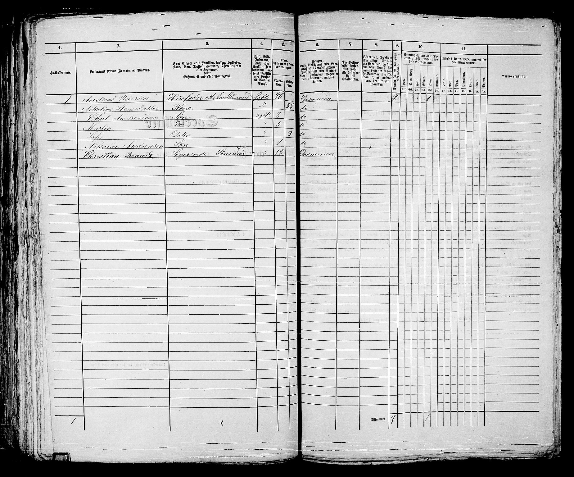 RA, 1865 census for Strømsø in Drammen, 1865, p. 172