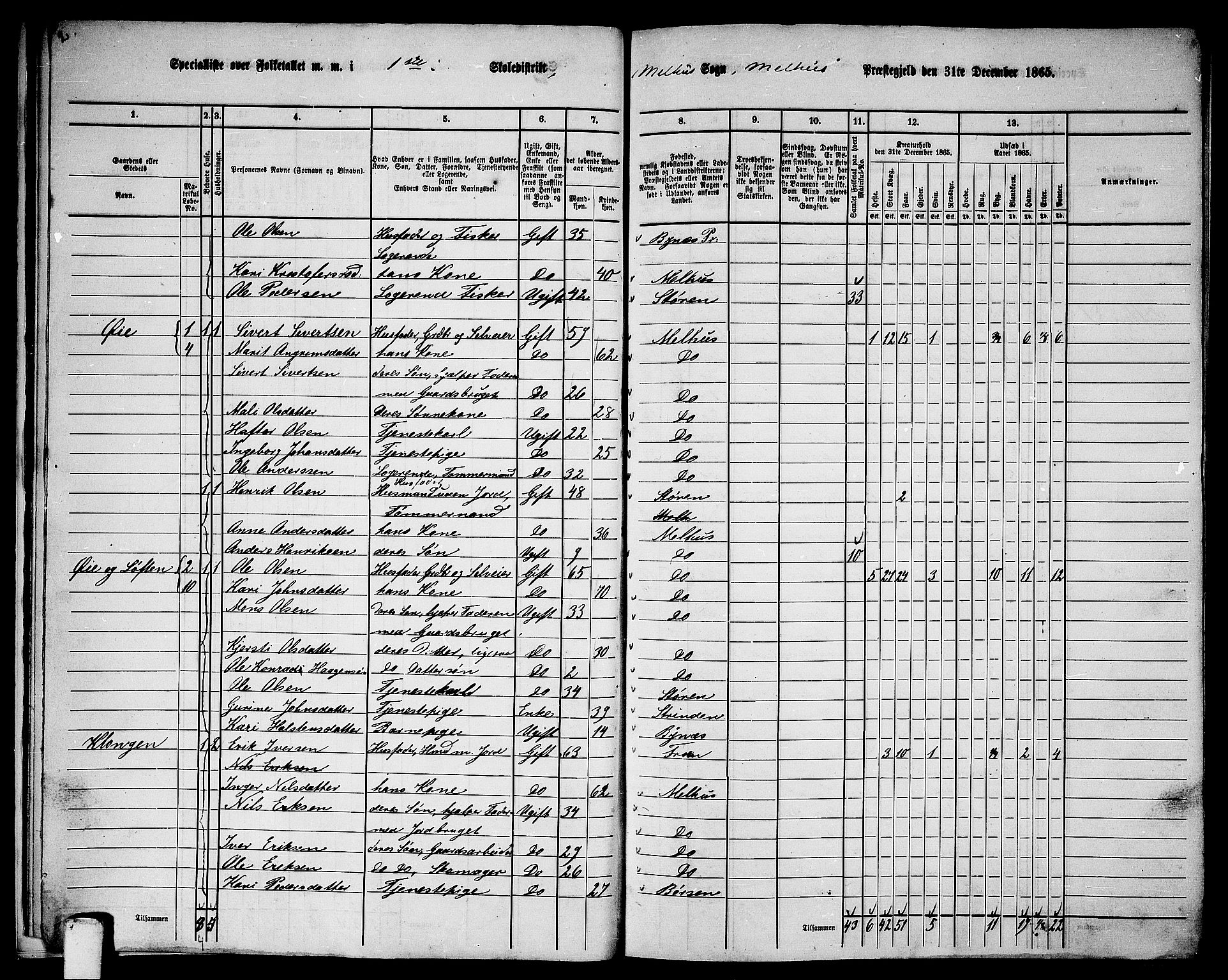 RA, 1865 census for Melhus, 1865, p. 17