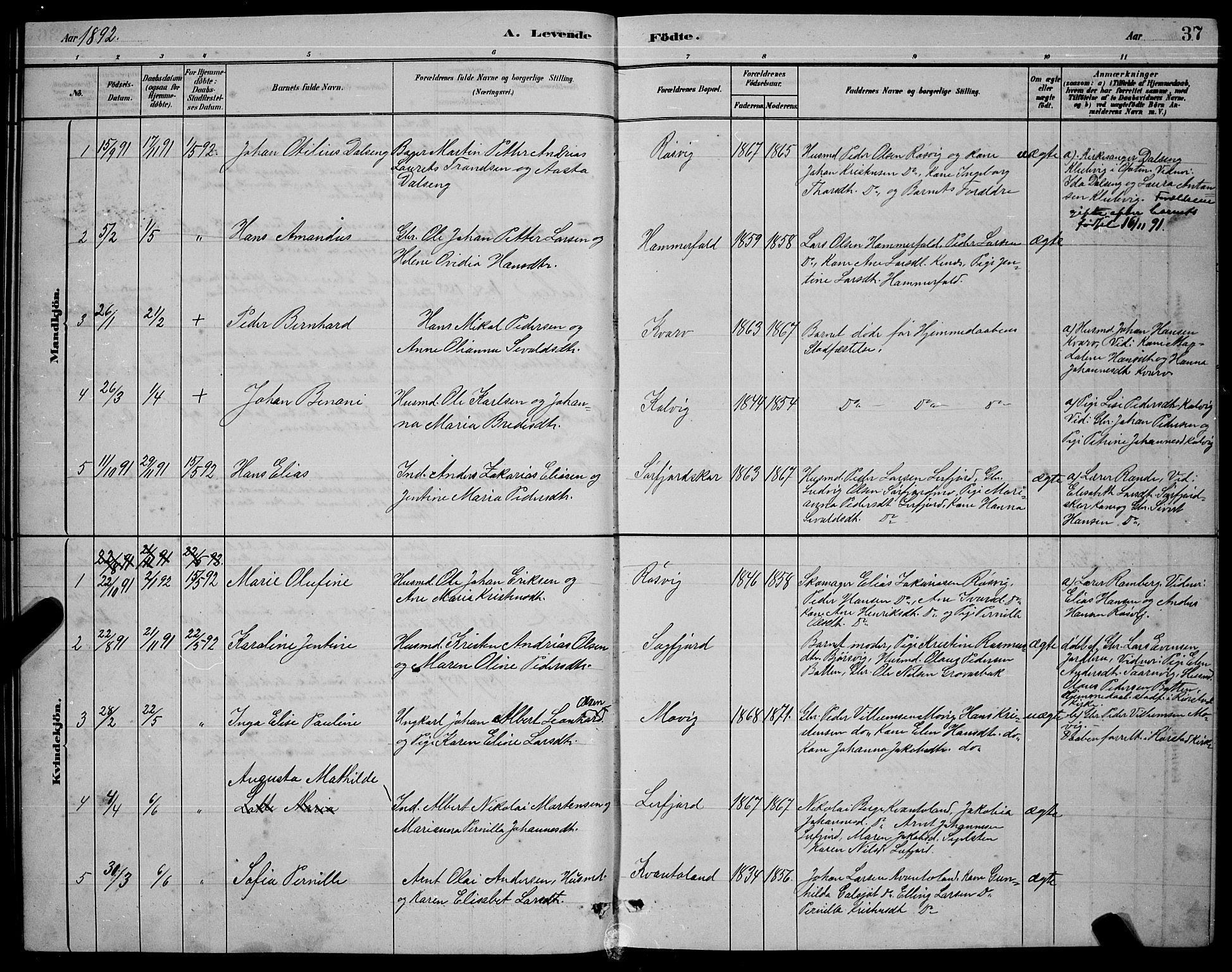 Ministerialprotokoller, klokkerbøker og fødselsregistre - Nordland, AV/SAT-A-1459/853/L0772: Parish register (official) no. 853A11, 1881-1900, p. 37