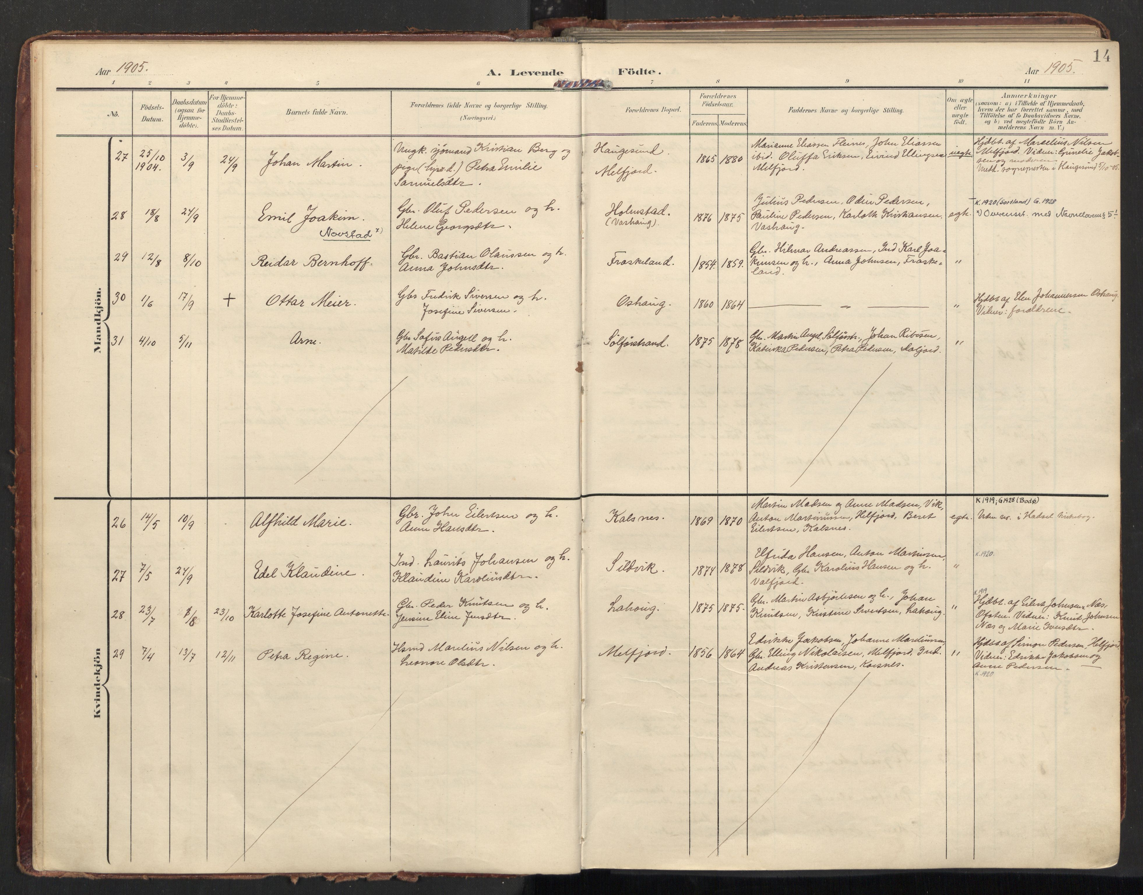 Ministerialprotokoller, klokkerbøker og fødselsregistre - Nordland, AV/SAT-A-1459/890/L1287: Parish register (official) no. 890A02, 1903-1915, p. 14