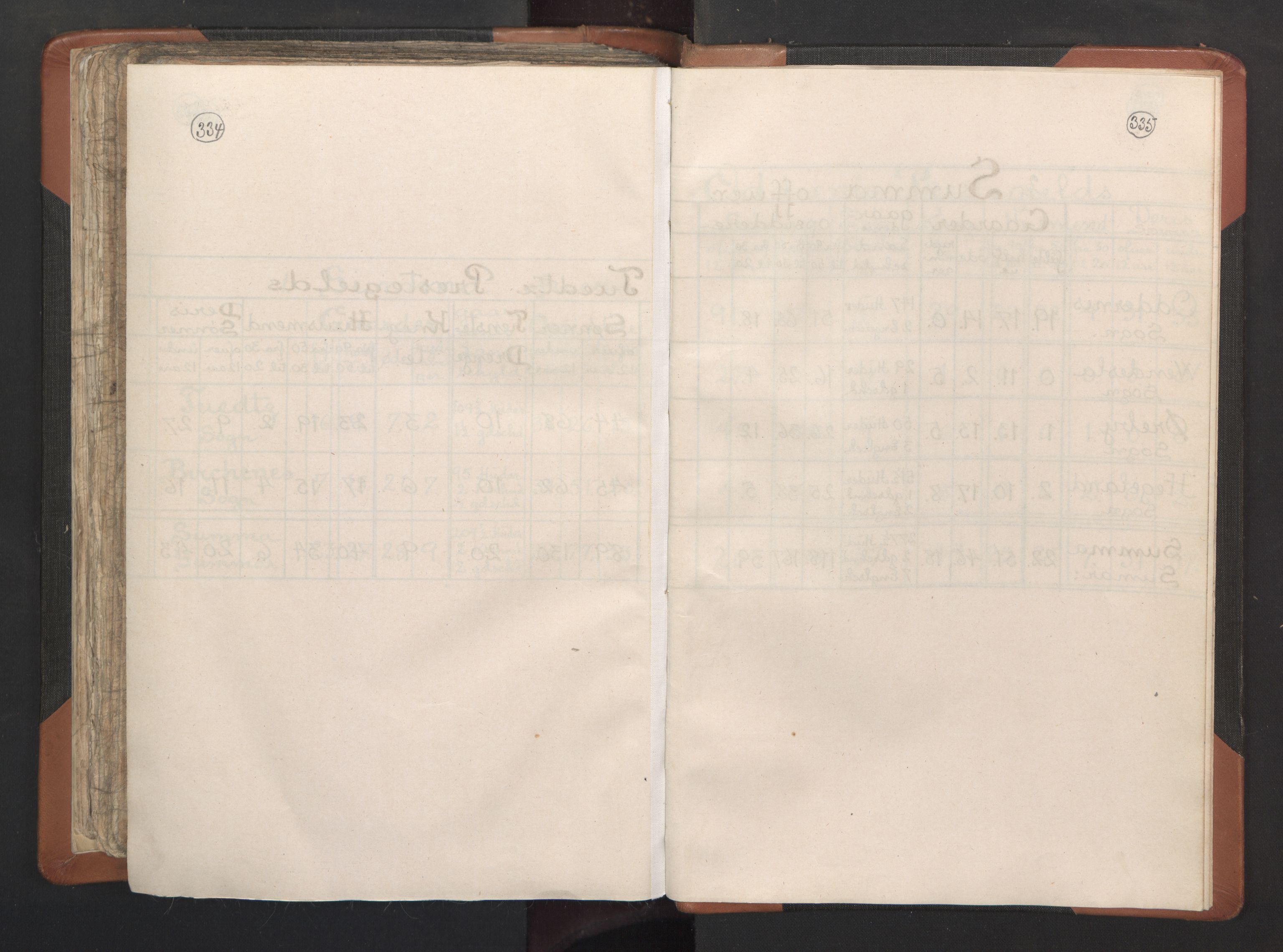 RA, Vicar's Census 1664-1666, no. 15: Mandal deanery, 1664-1666, p. 334-335