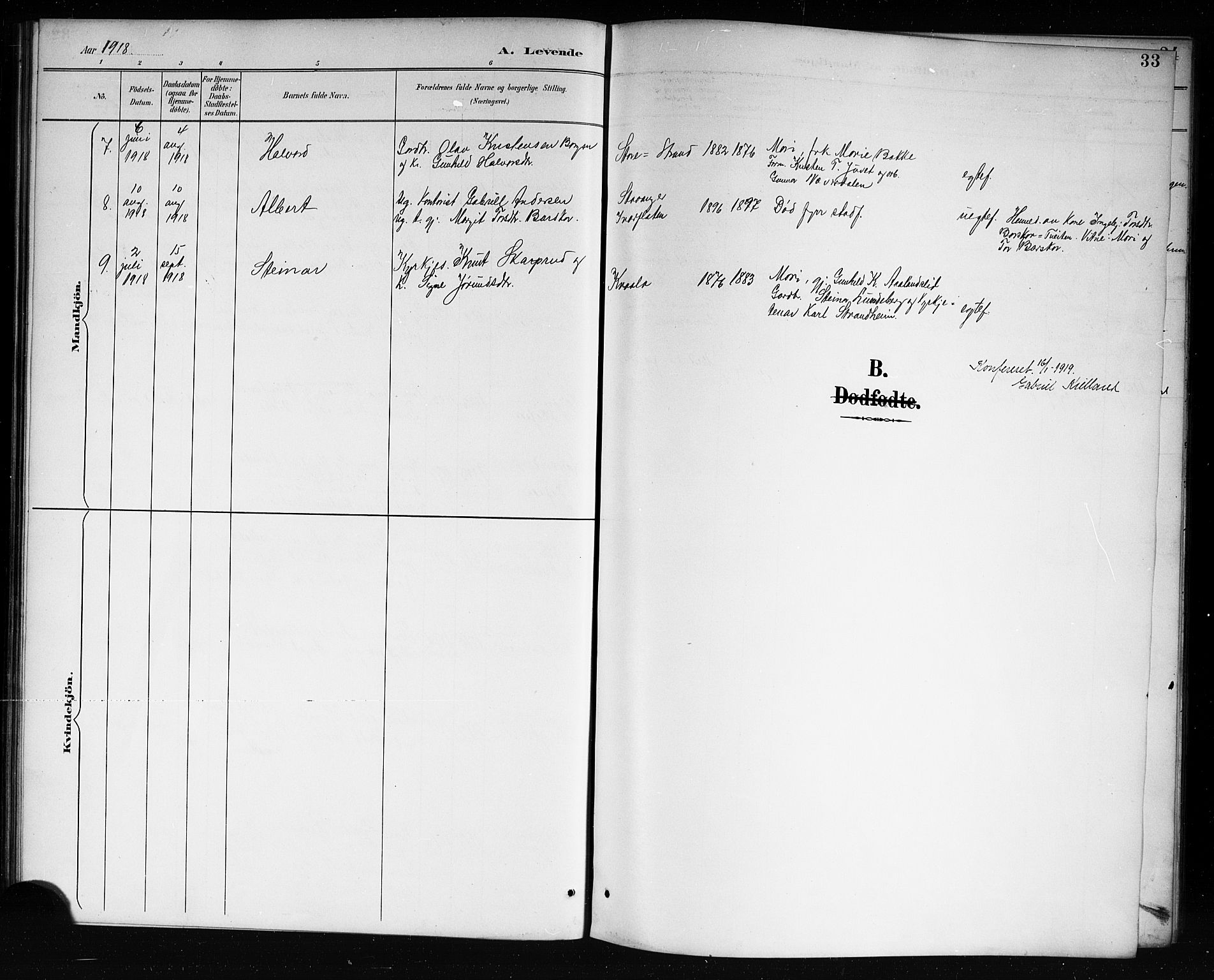 Lårdal kirkebøker, AV/SAKO-A-284/G/Ga/L0003: Parish register (copy) no. I 3, 1891-1918, p. 33