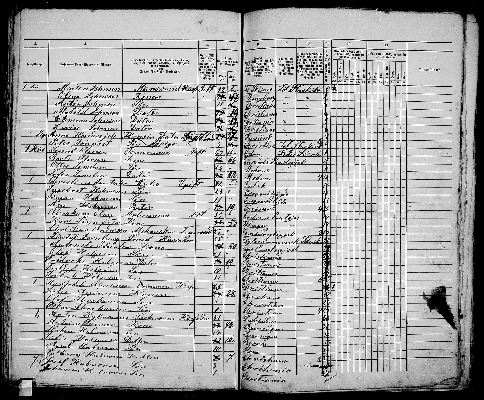 RA, 1865 census for Kristiania, 1865, p. 3032