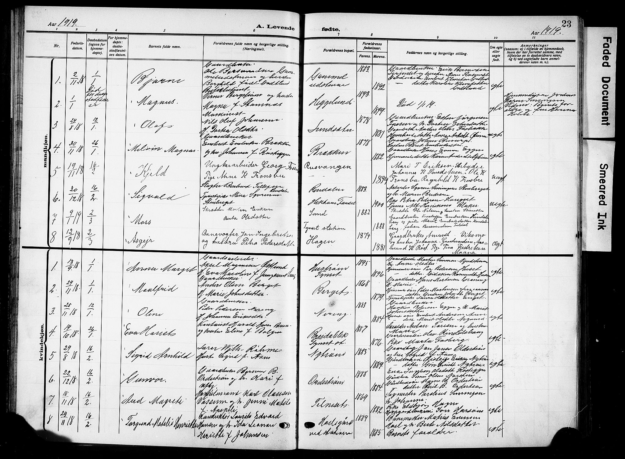 Tynset prestekontor, SAH/PREST-058/H/Ha/Hab/L0011: Parish register (copy) no. 11, 1915-1930, p. 23