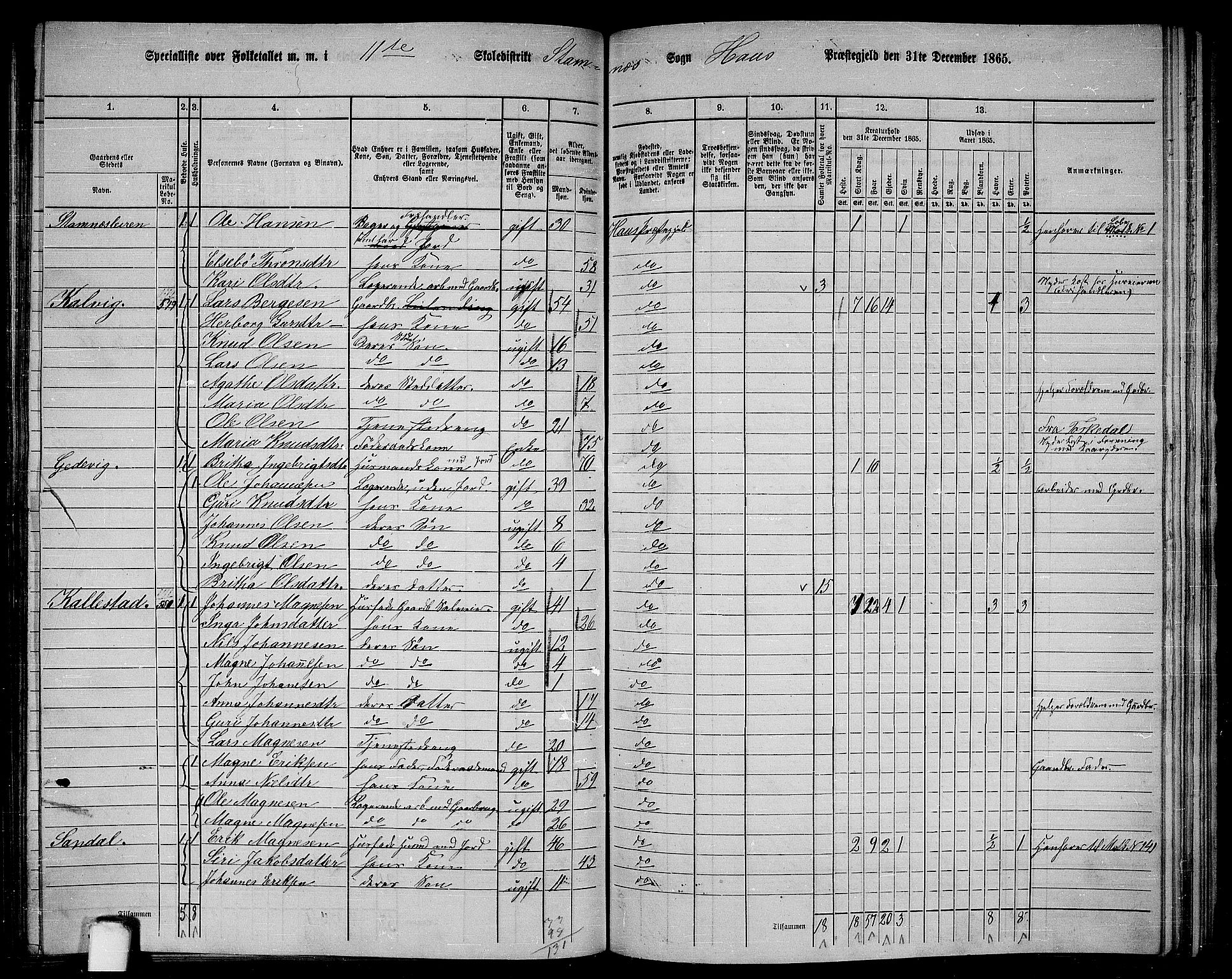 RA, 1865 census for Haus, 1865, p. 219