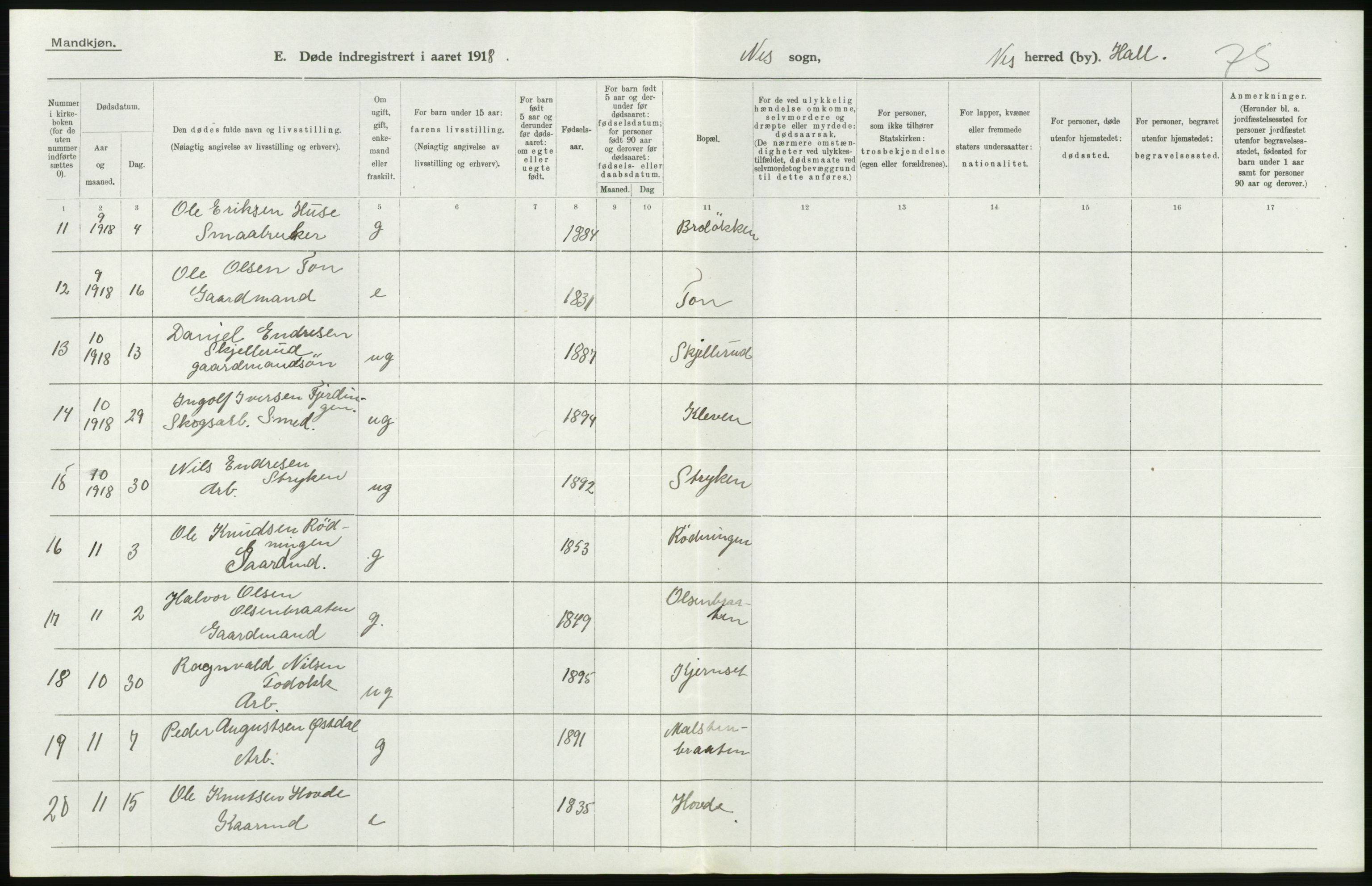 Statistisk sentralbyrå, Sosiodemografiske emner, Befolkning, AV/RA-S-2228/D/Df/Dfb/Dfbh/L0020: Buskerud fylke: Døde. Bygder og byer., 1918, p. 184