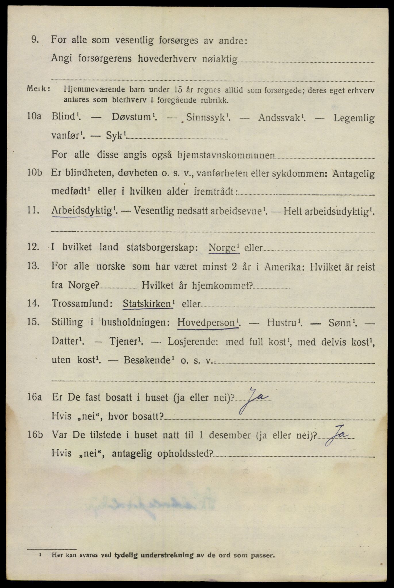 SAO, 1920 census for Nes, 1920, p. 8313