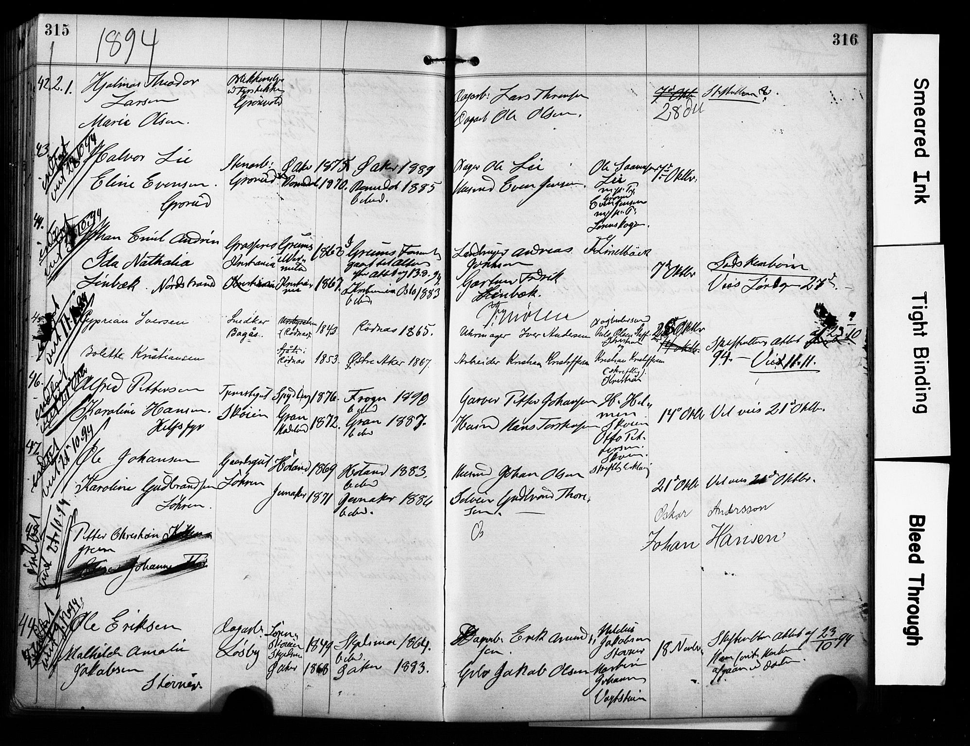 Østre Aker prestekontor Kirkebøker, SAO/A-10840/H/Ha/L0004: Banns register no. I 4, 1878-1901, p. 315-316